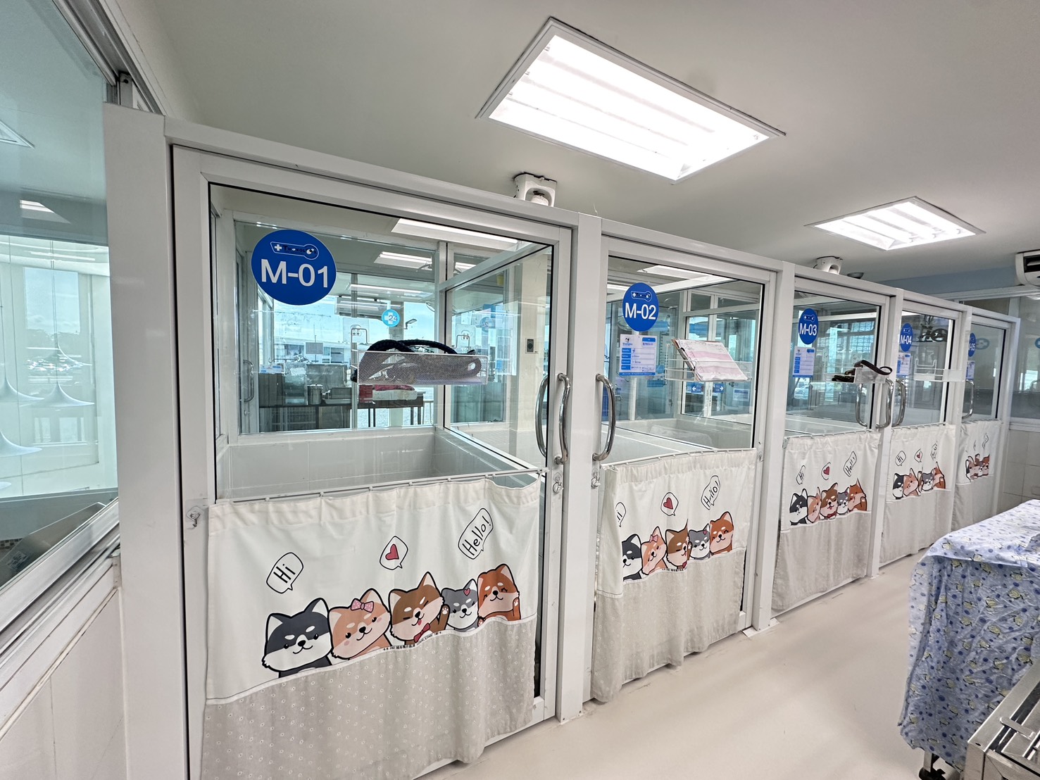 Thonglor Pet Hospital Rangsit