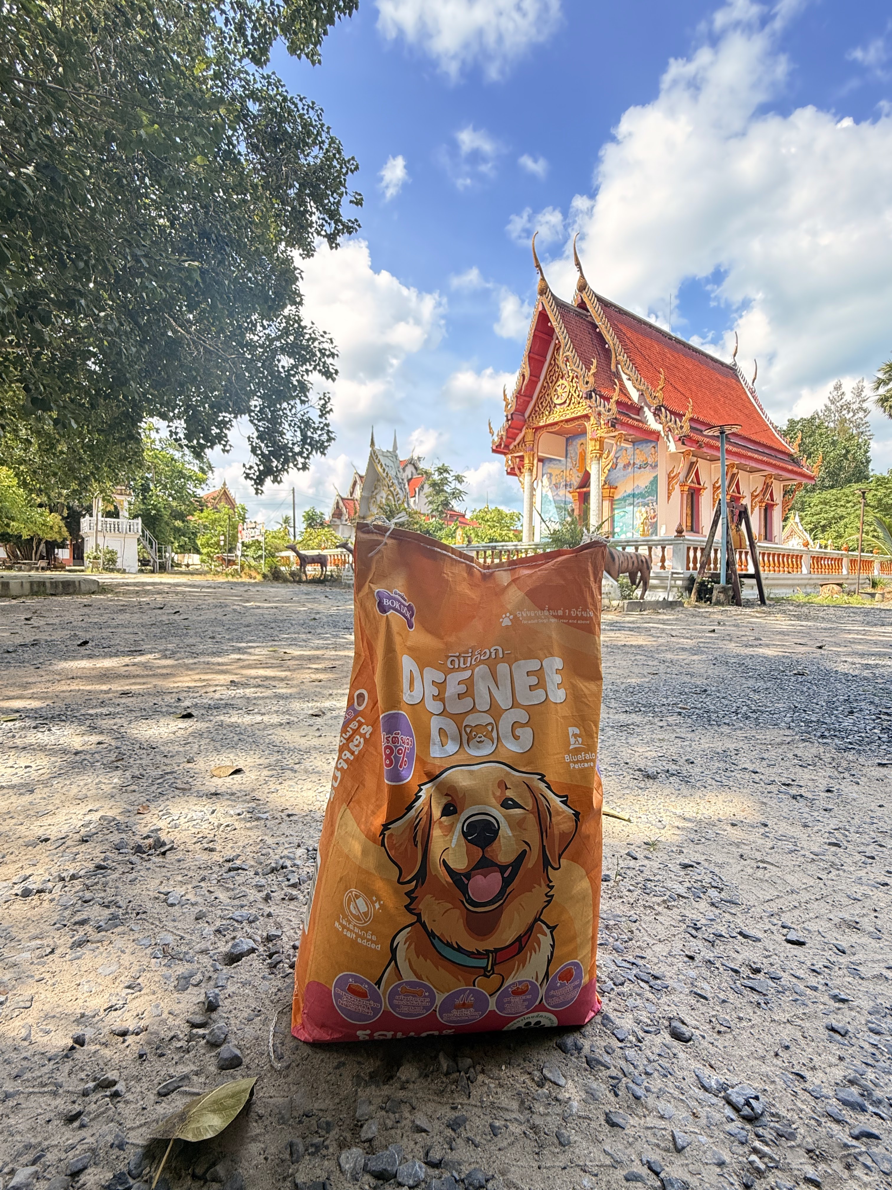 Bodhi Dog Rescue and Shelter