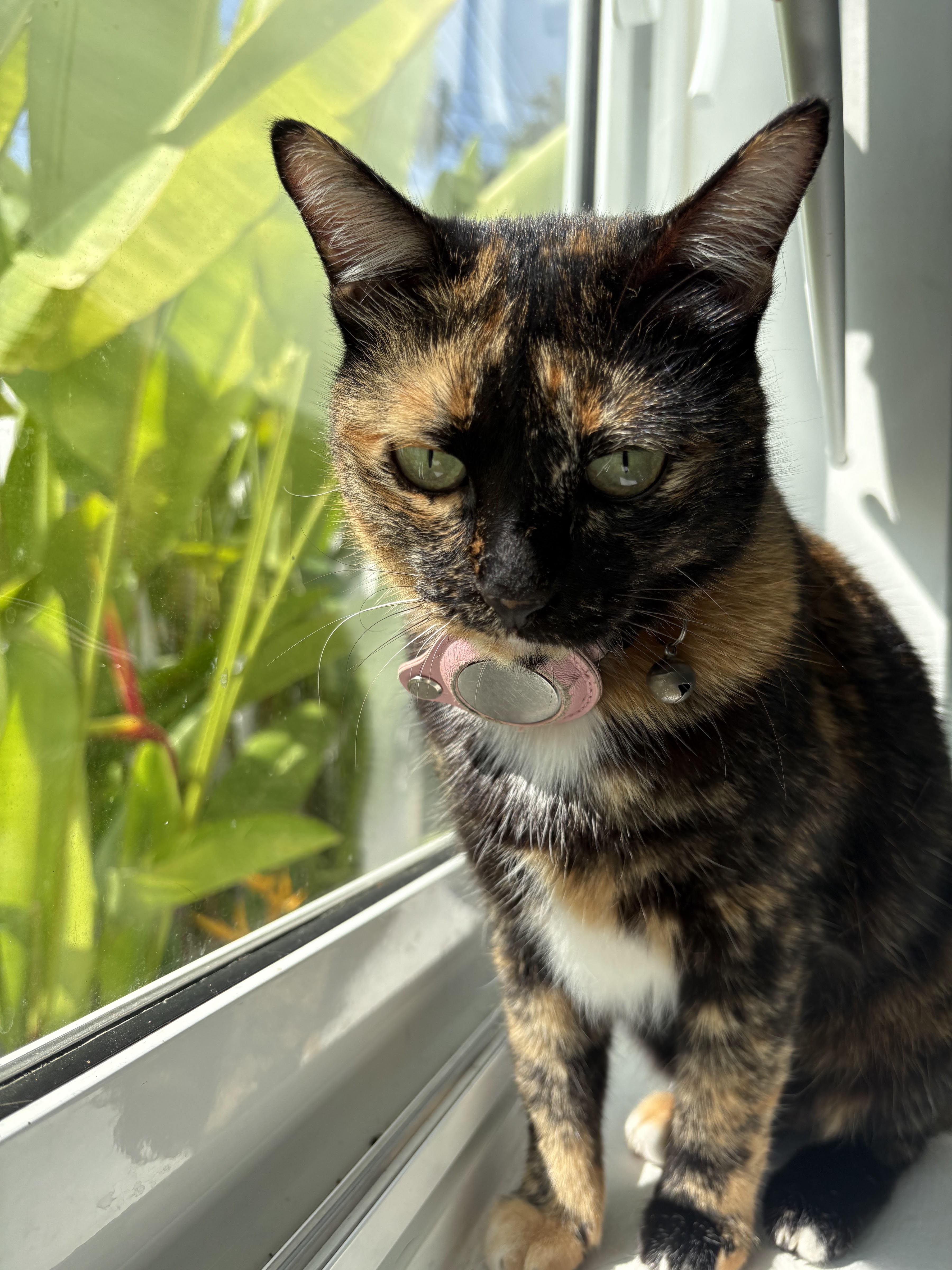 Cat Talay Hotel