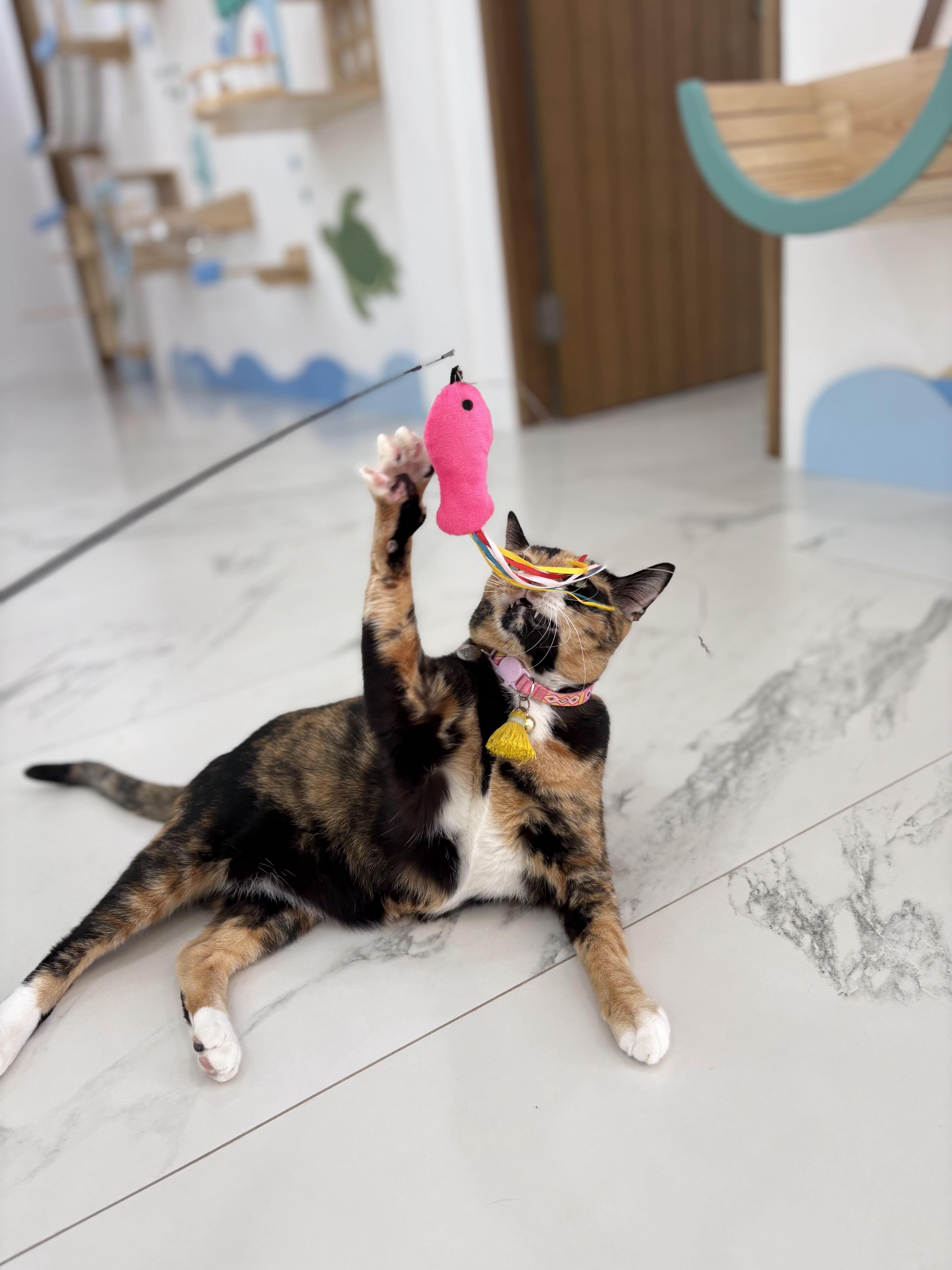 Cat Talay Hotel