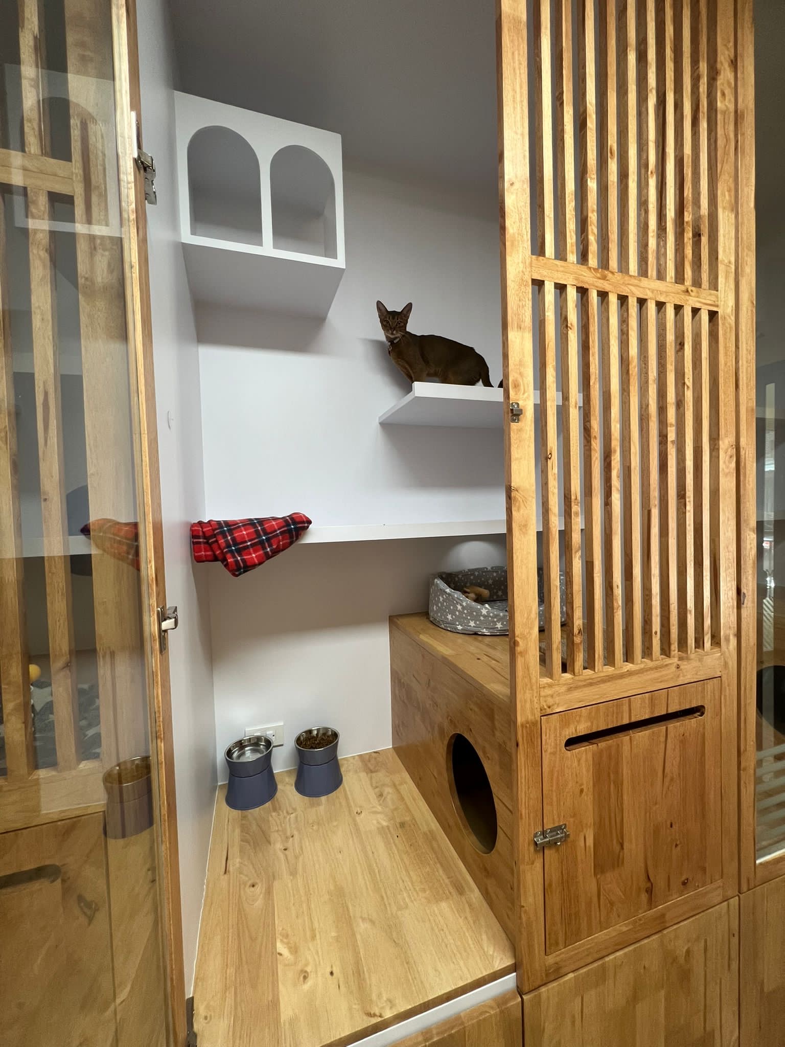 Catspurry Cat Hotel & Cat Grooming Phuket