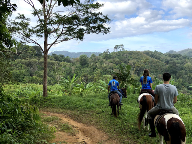 Chalong Horseback Riding