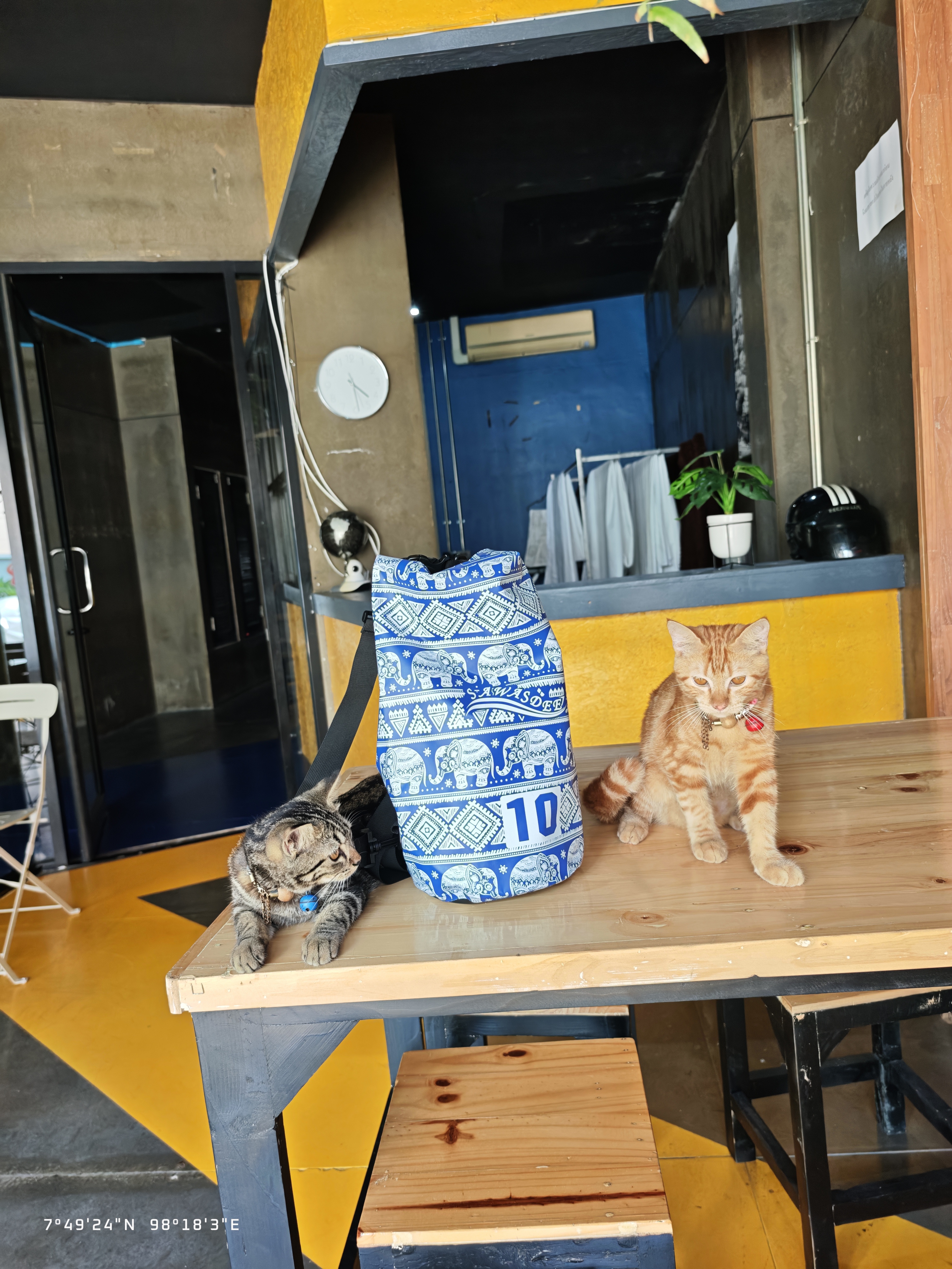Free Way Kata Beach Hostel