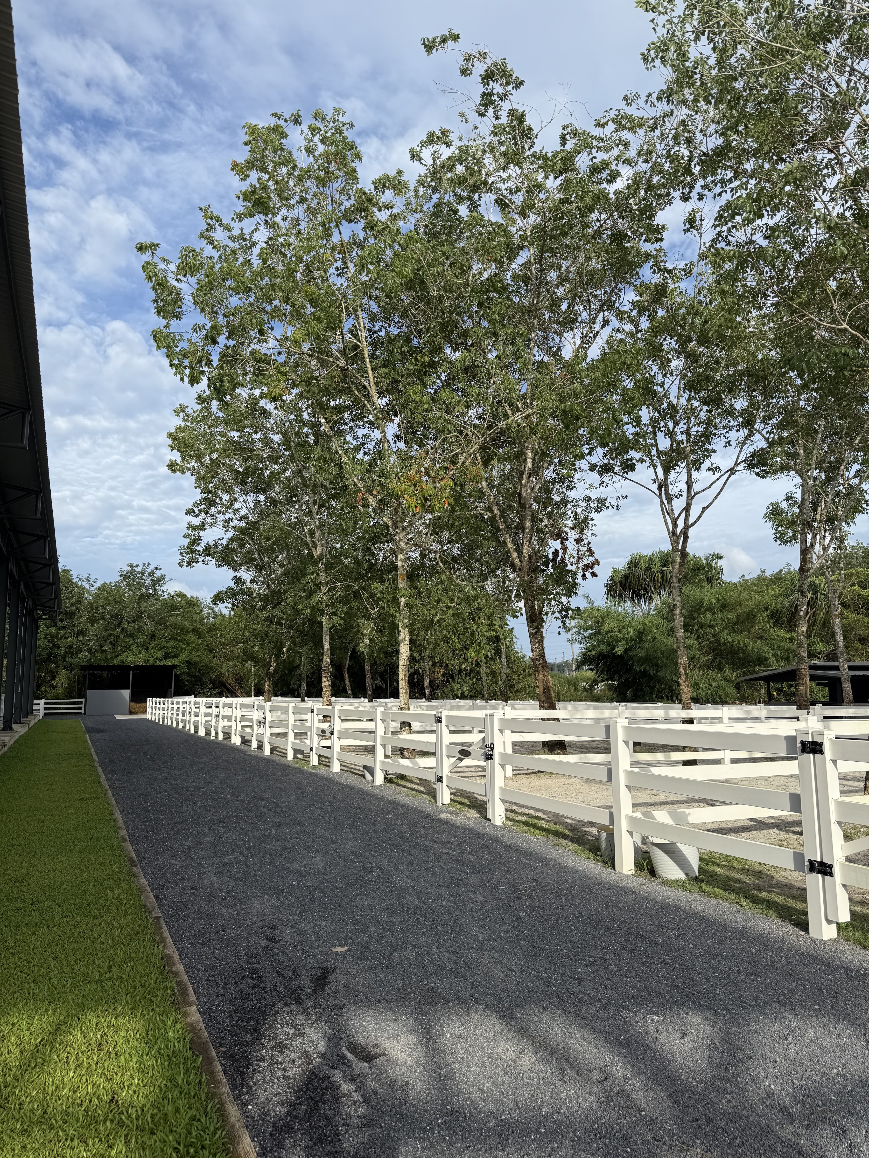 Horse Jumping Academy