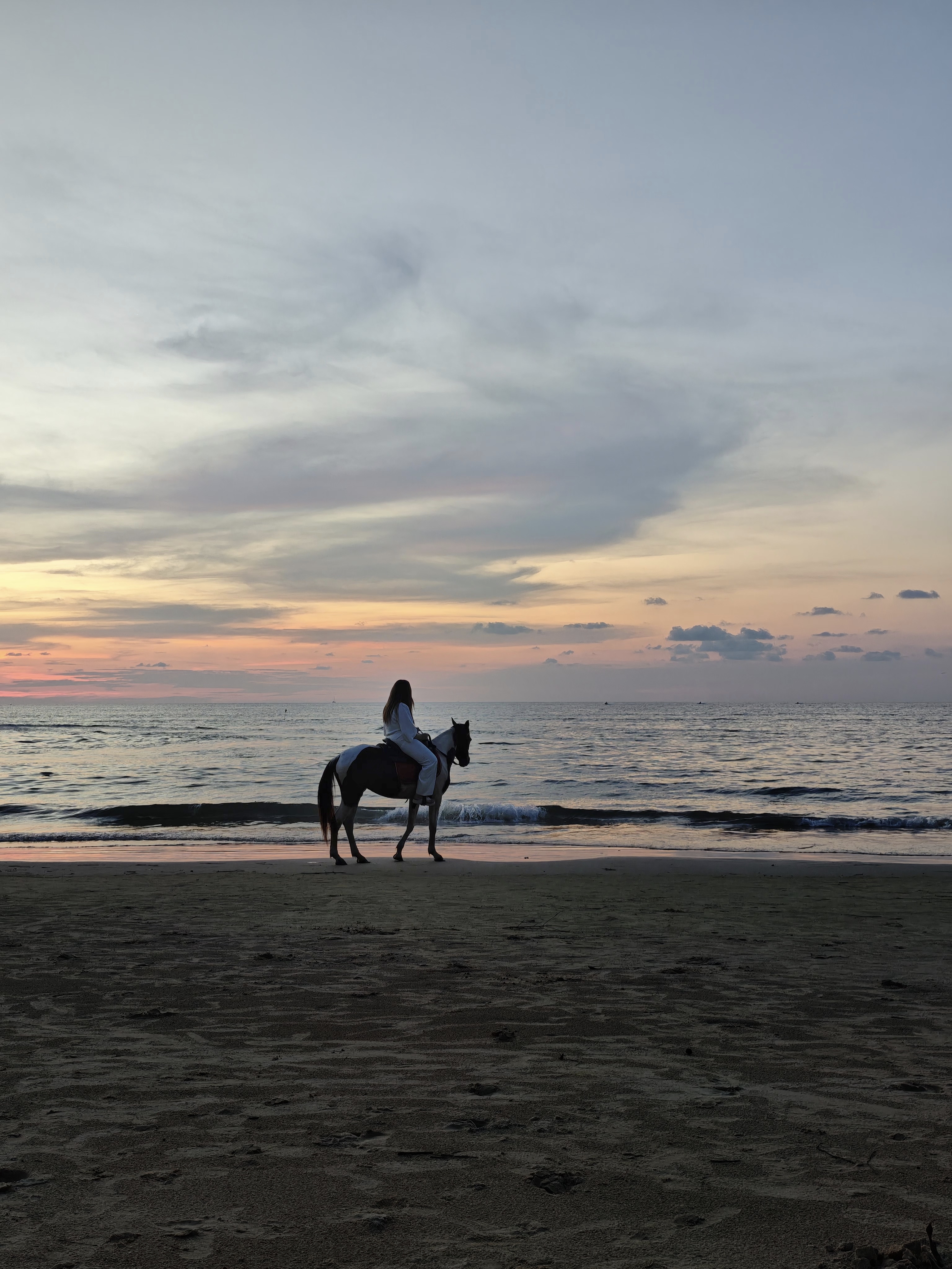 Horse Riding Phuket By Khun cowboy