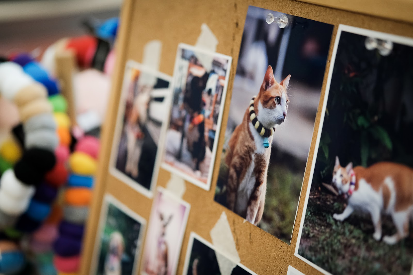 Khunkhun Pet Boutique