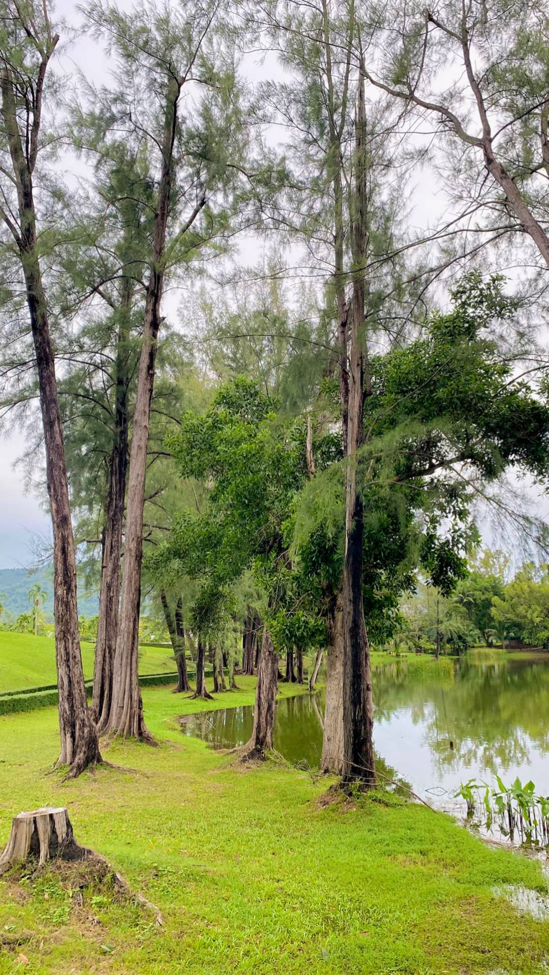 Laguna Park