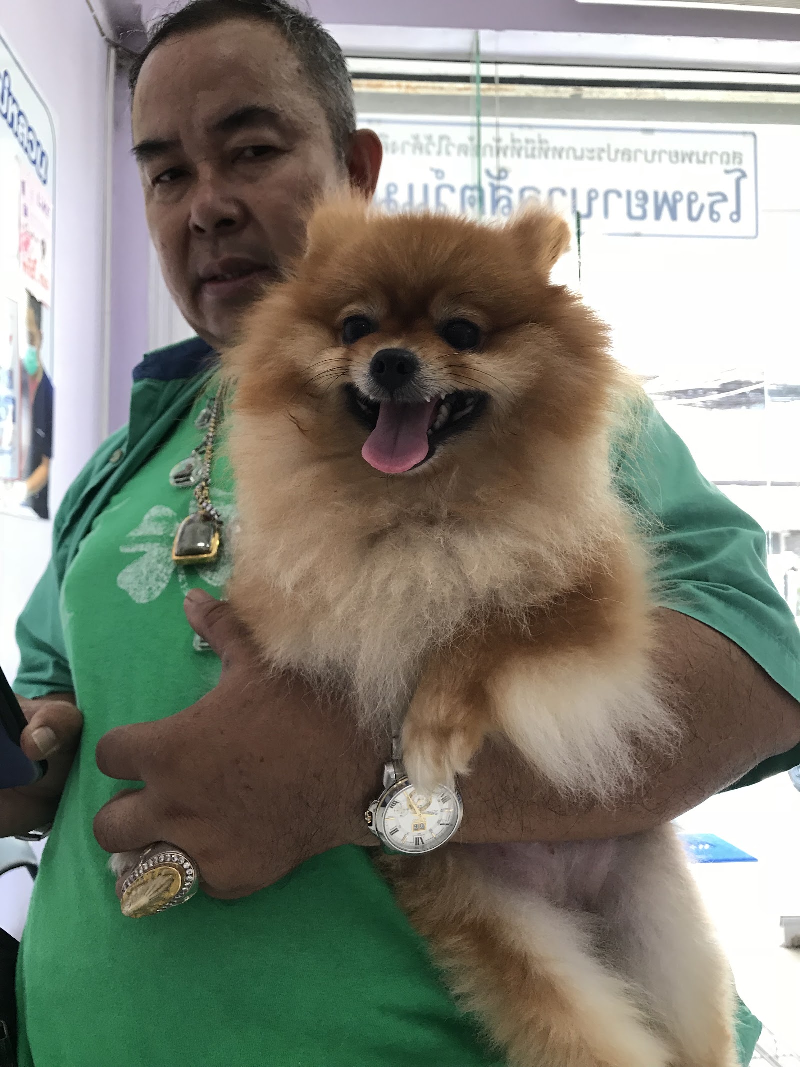 Maeluan Phuket Animal Hospital