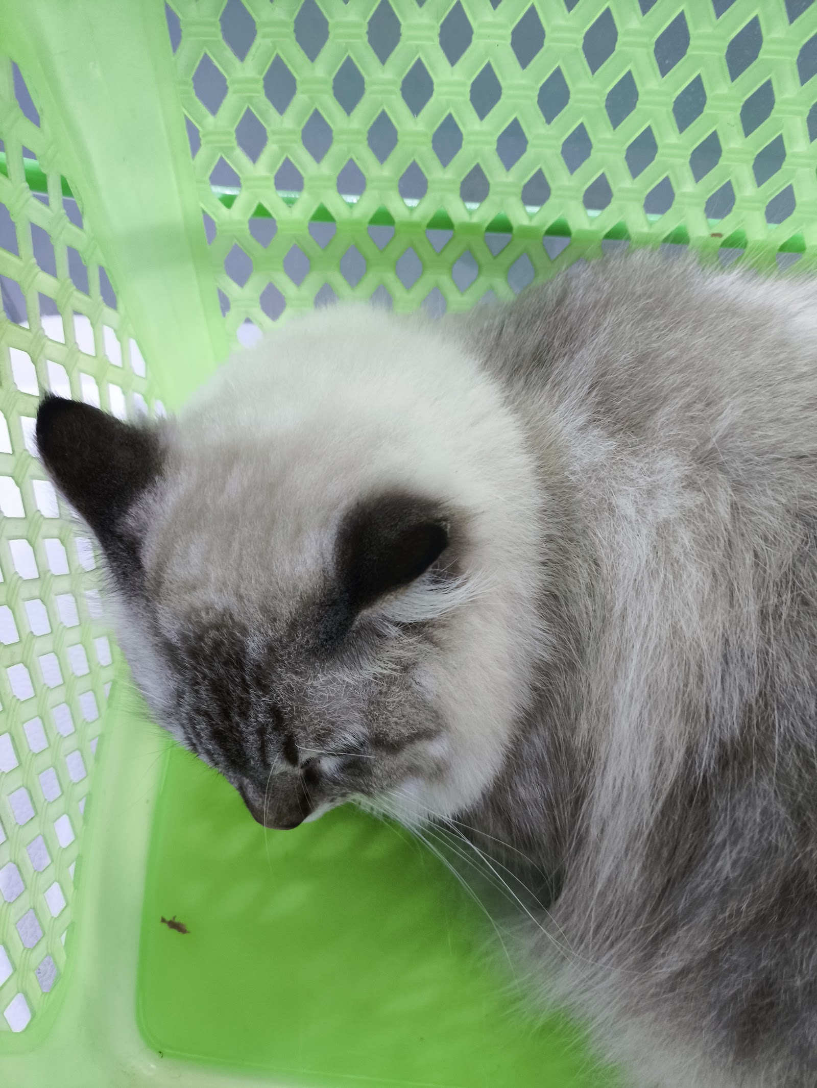 Naka Animal Hospital