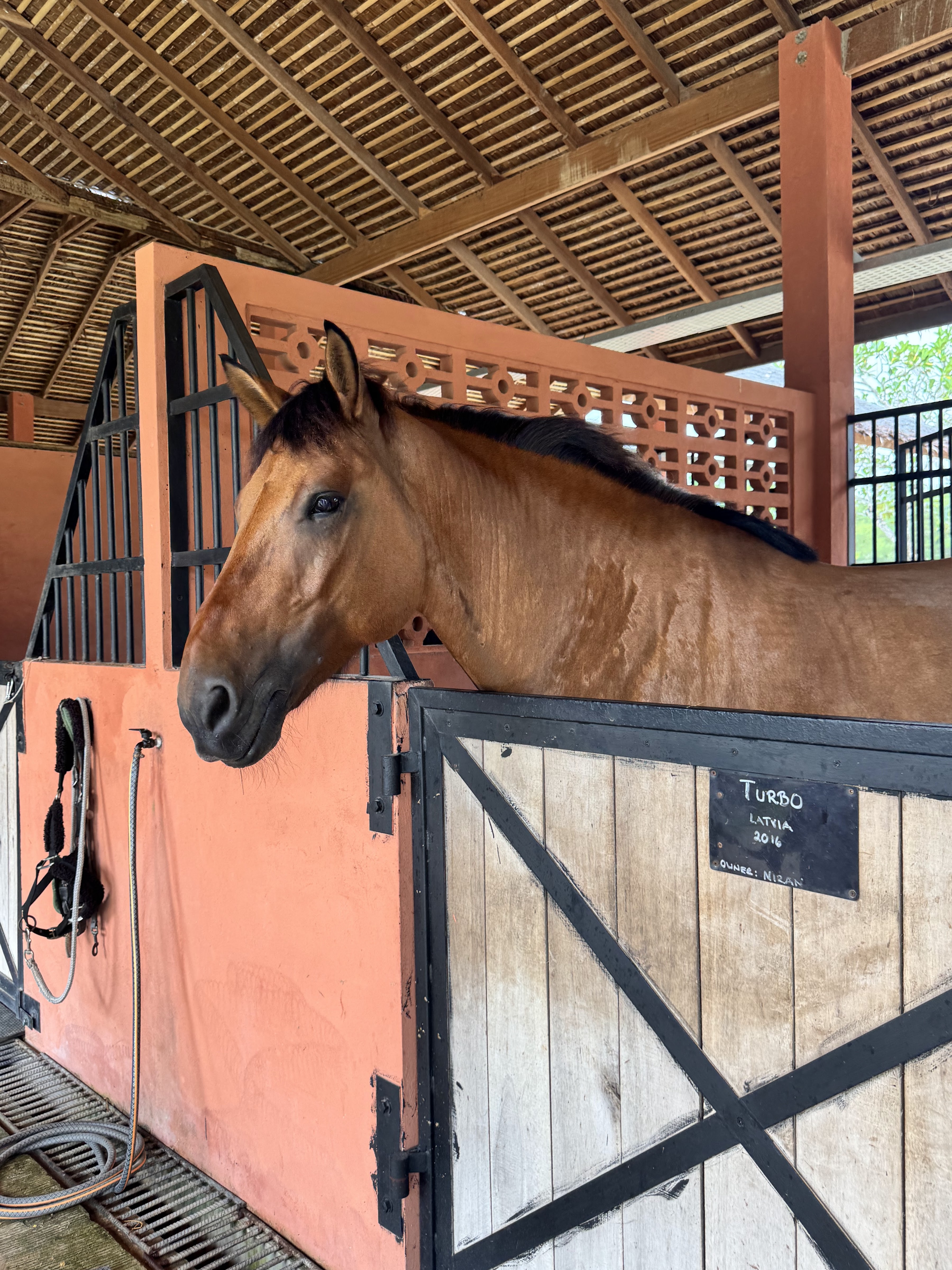 Niran Equestrian Center at Niran Farm