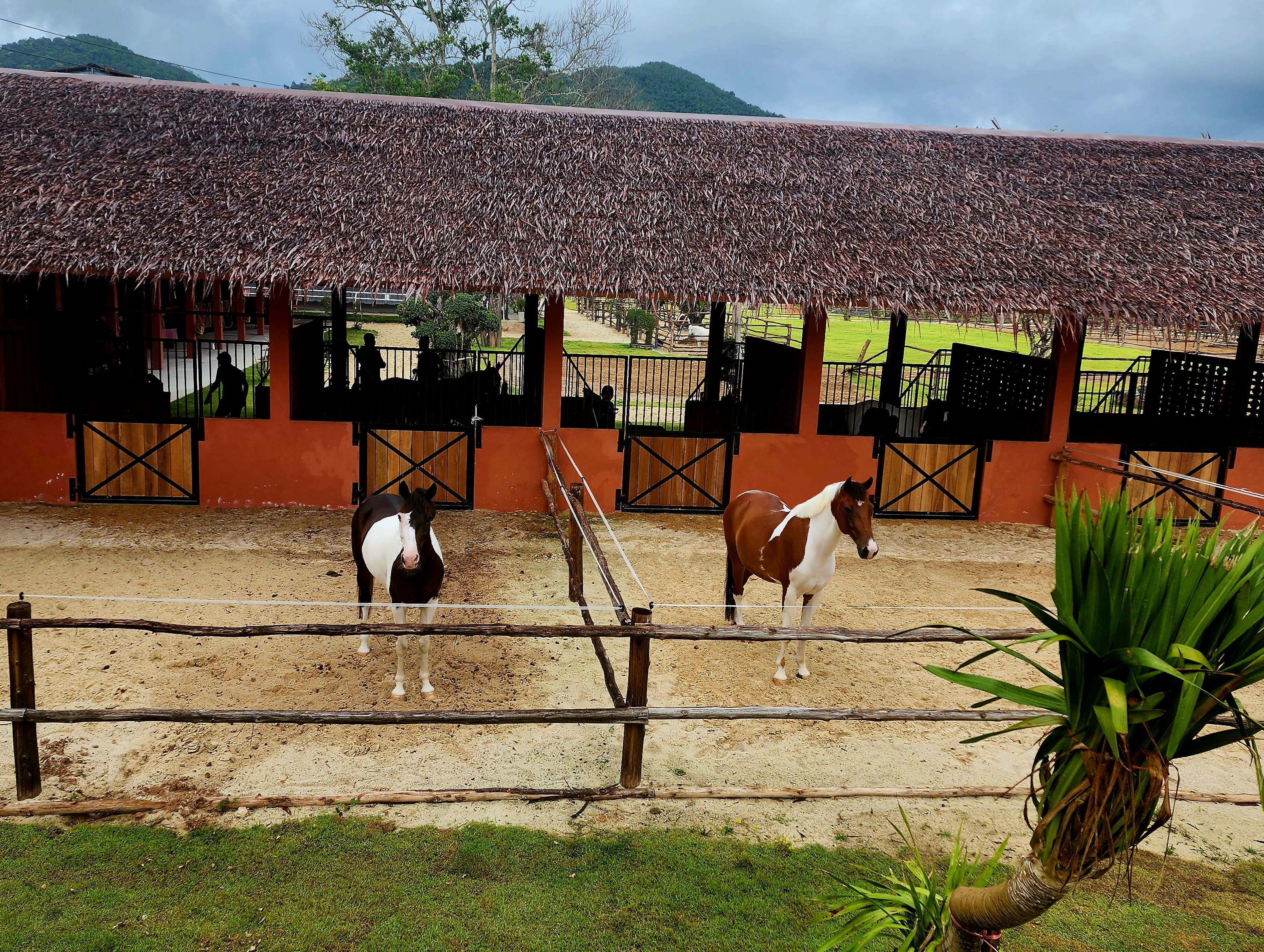 Niran Equestrian Center at Niran Farm