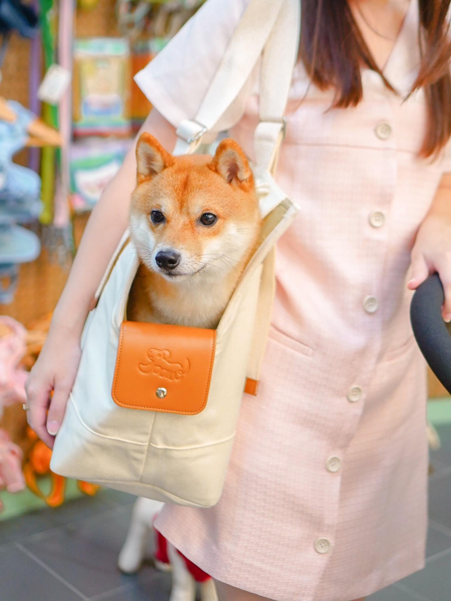 Pet & Co