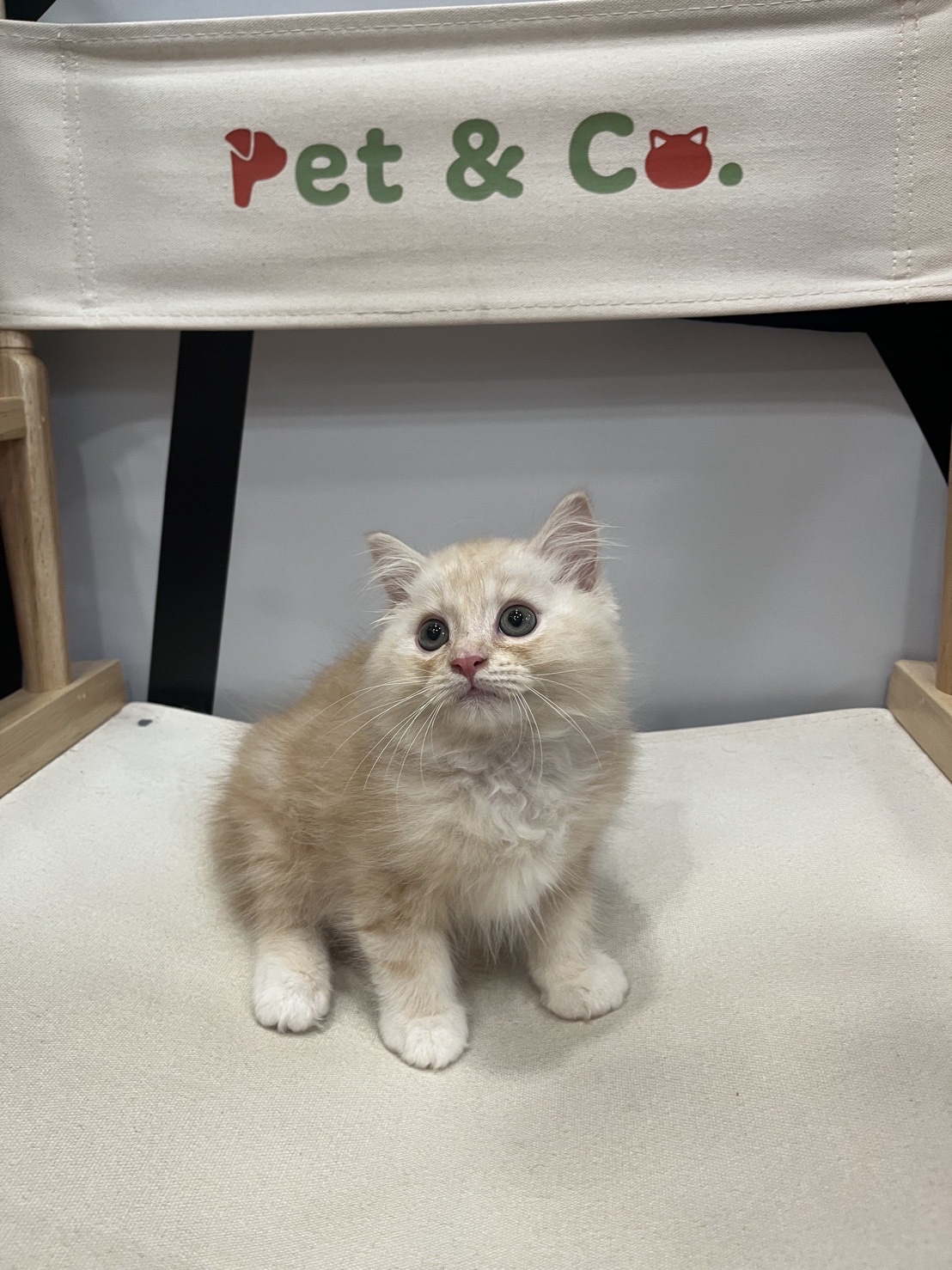 Pet & Co
