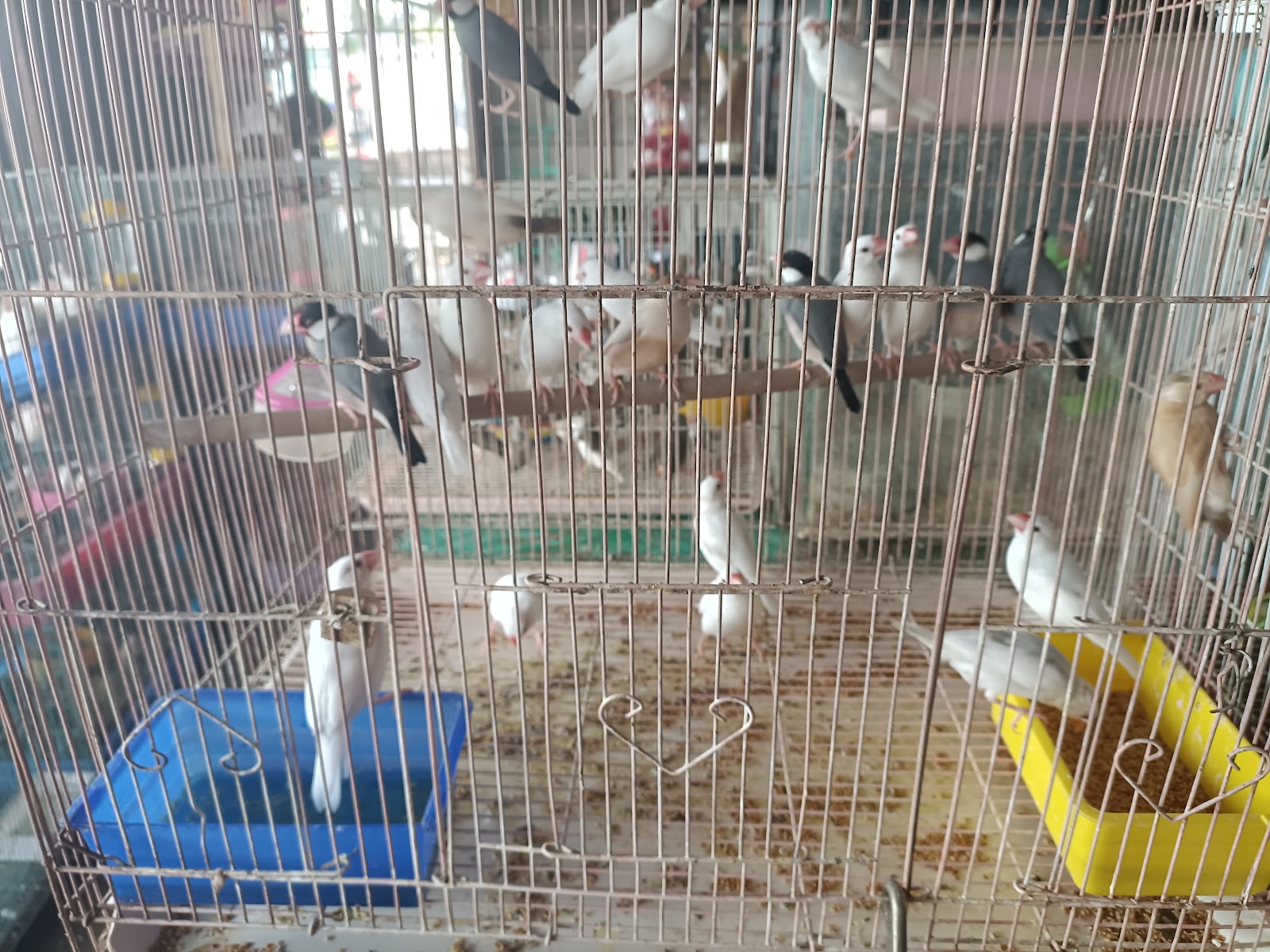 Phuket Farm & Aquarium
