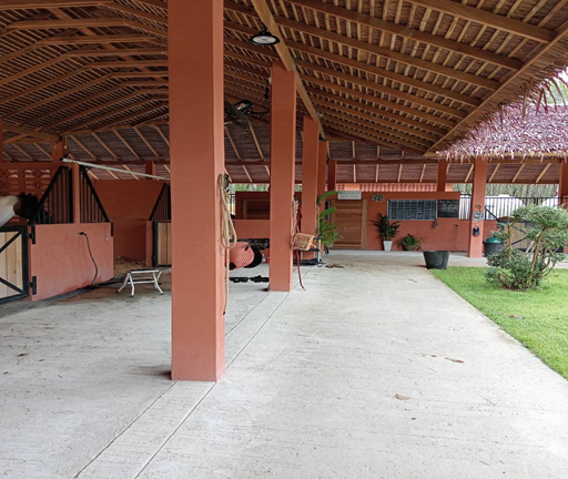 PHUKET HORSE CENTER CO.,LTD