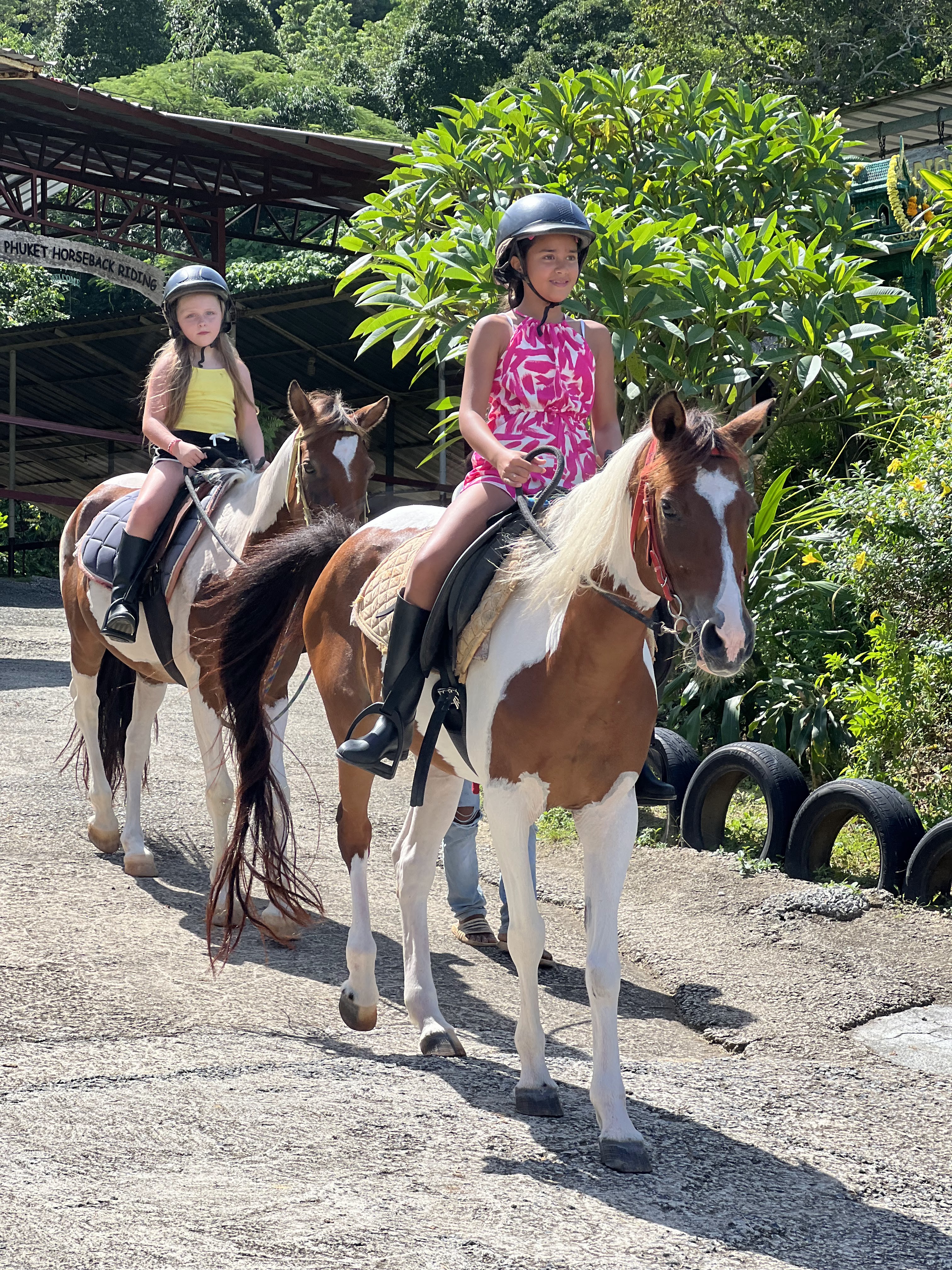 Phuket Horse Riding