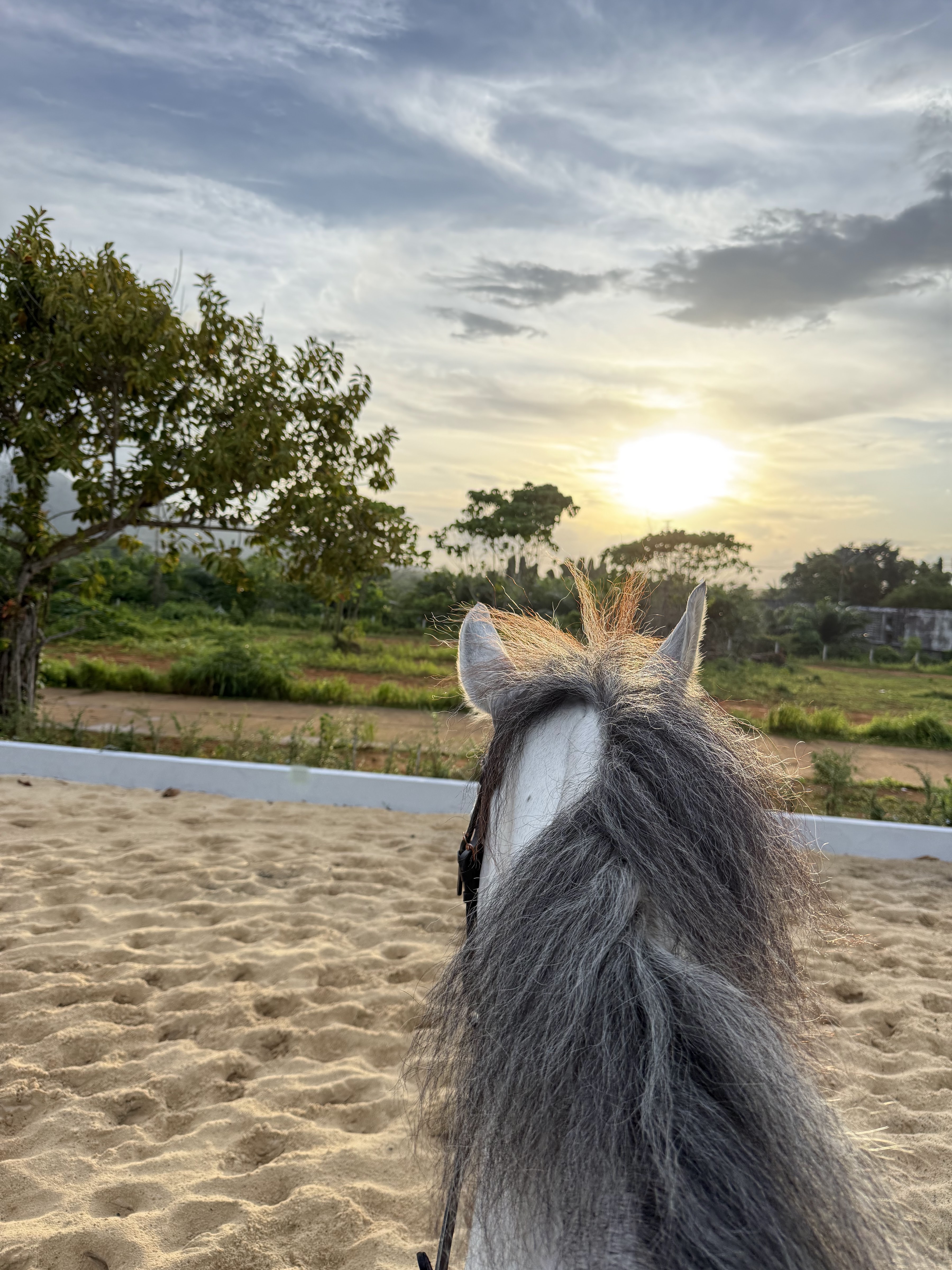 Southern Crown Equestrian Club Phuket