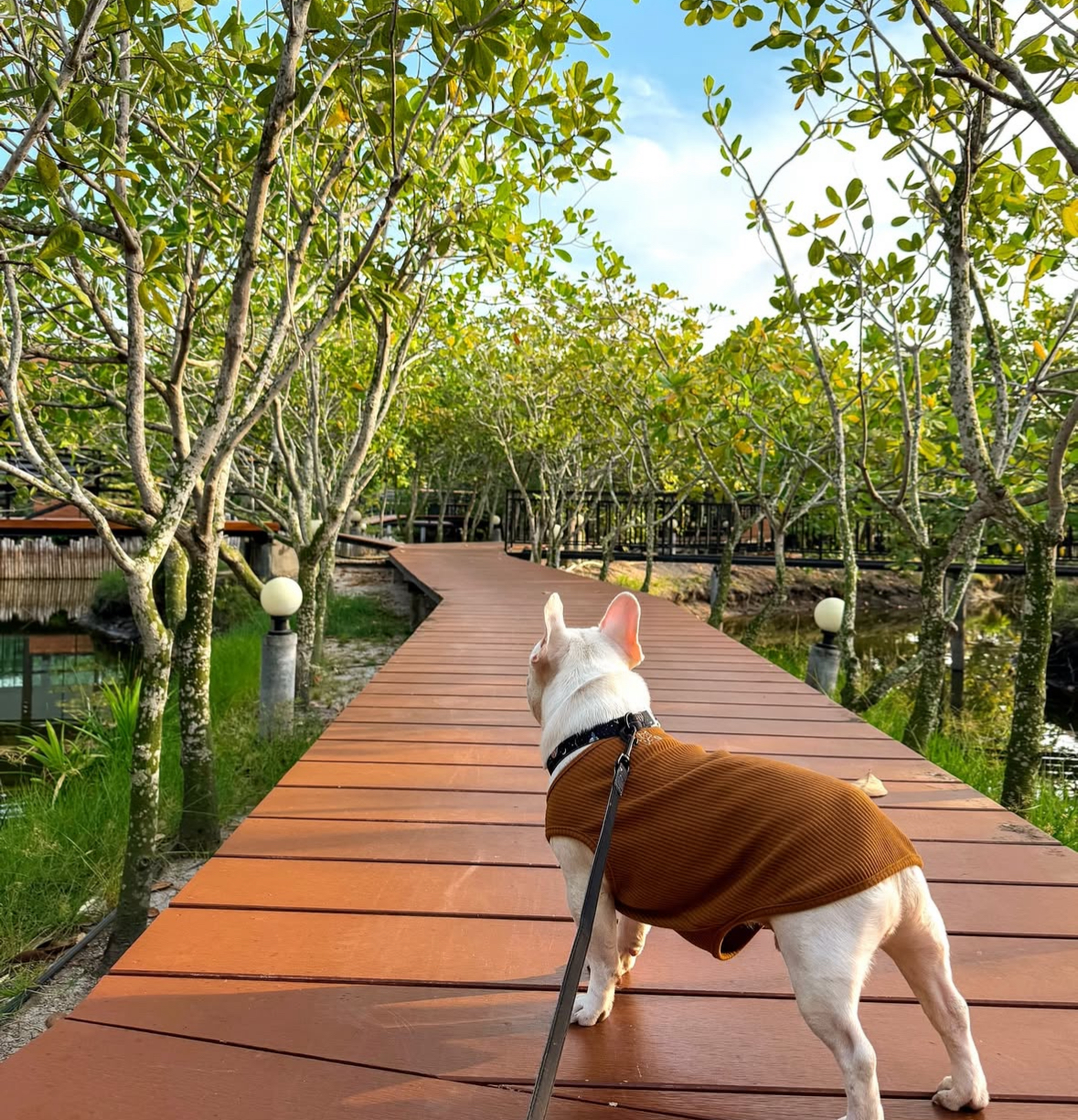 The Beatles Lagoon Phuket