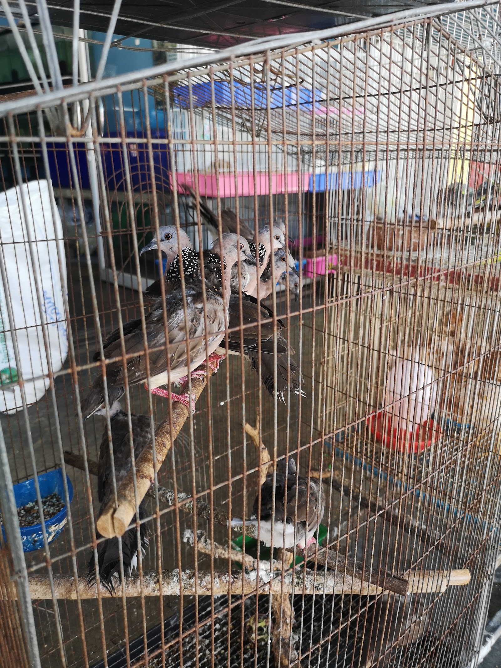 Baan Nok Hua Hin