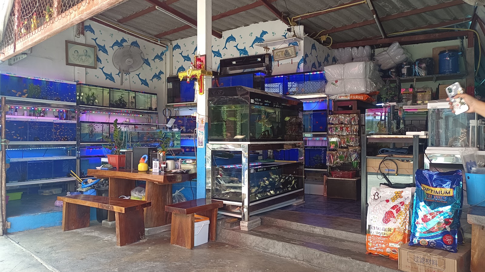 Bon Kai Aquarium