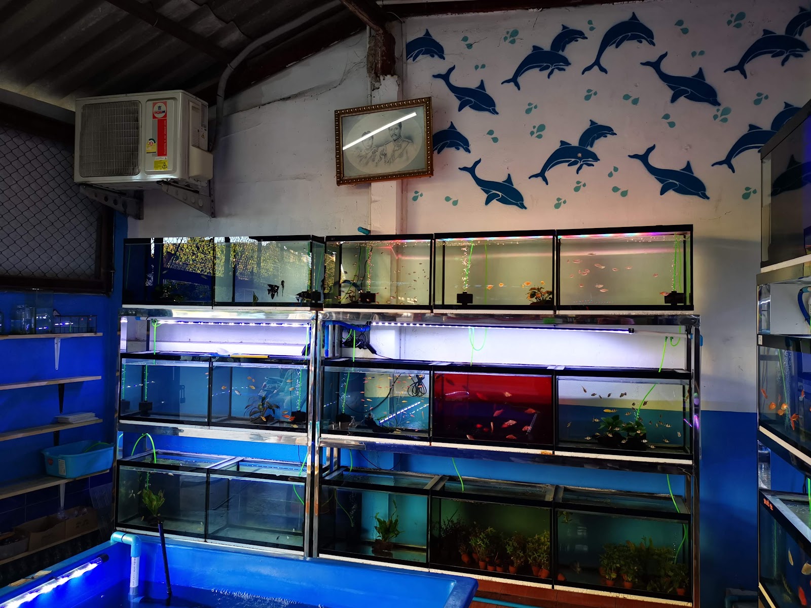 Bon Kai Aquarium