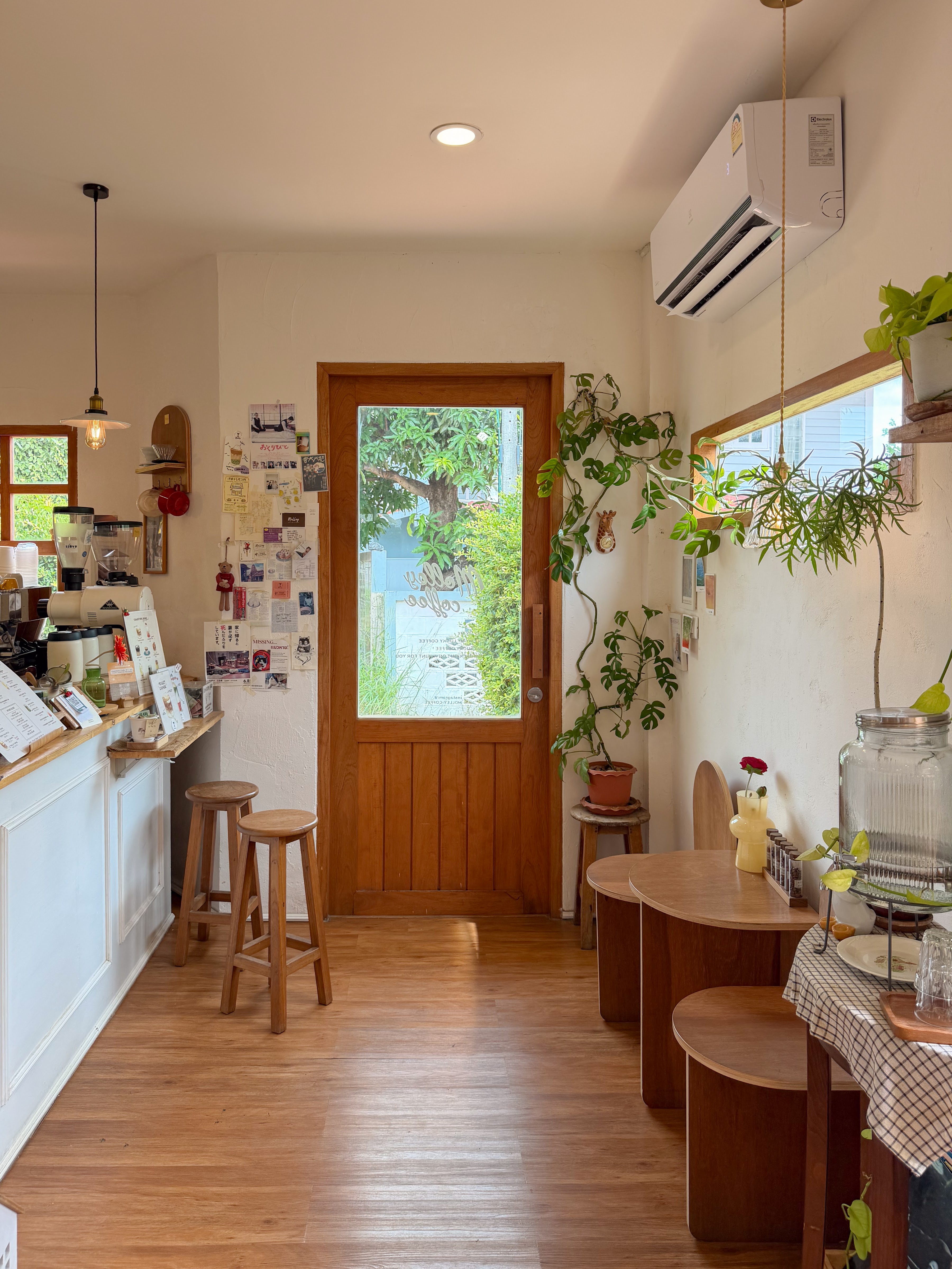 Molley Coffee Stand