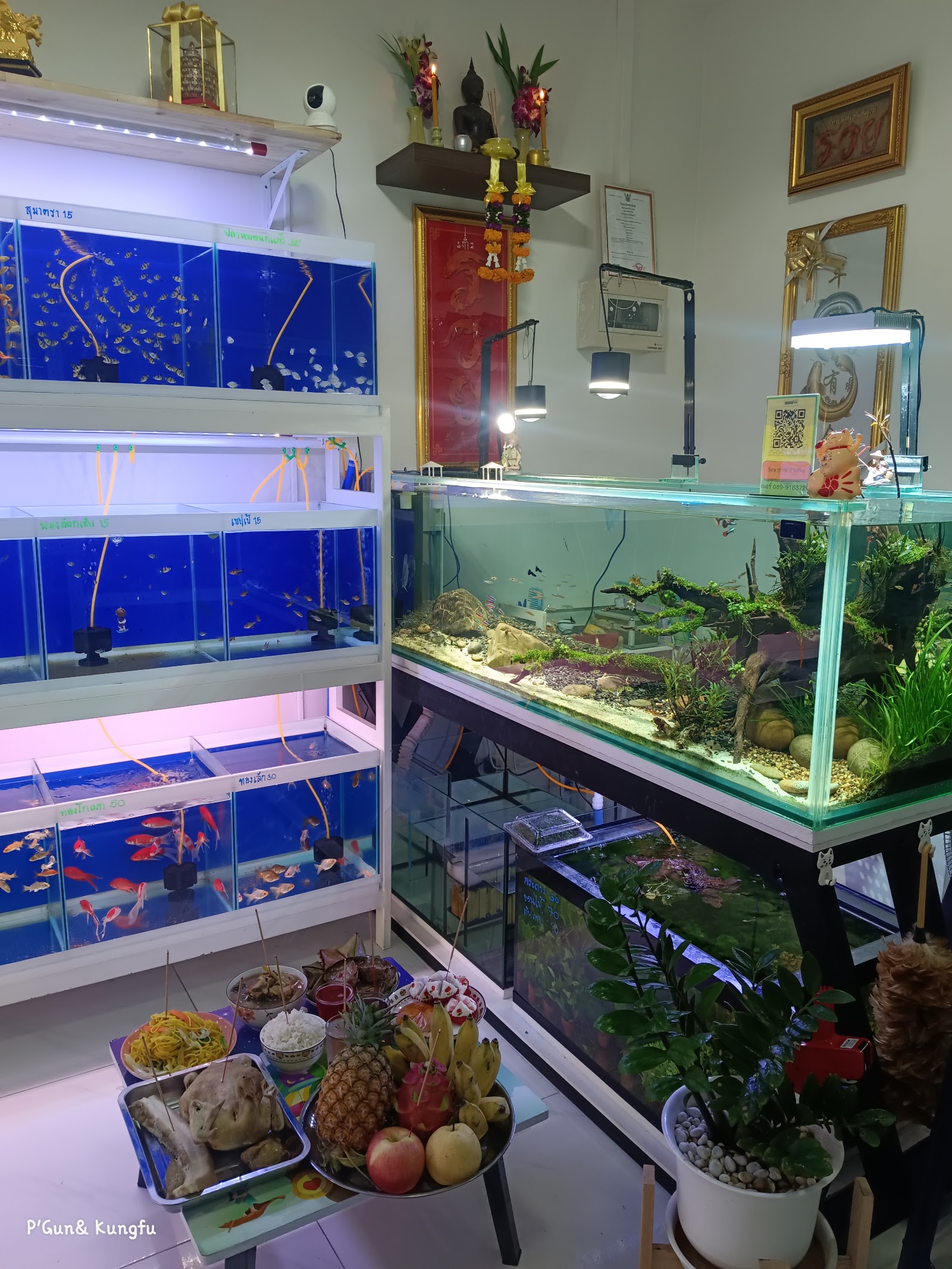 Sk Aquarium