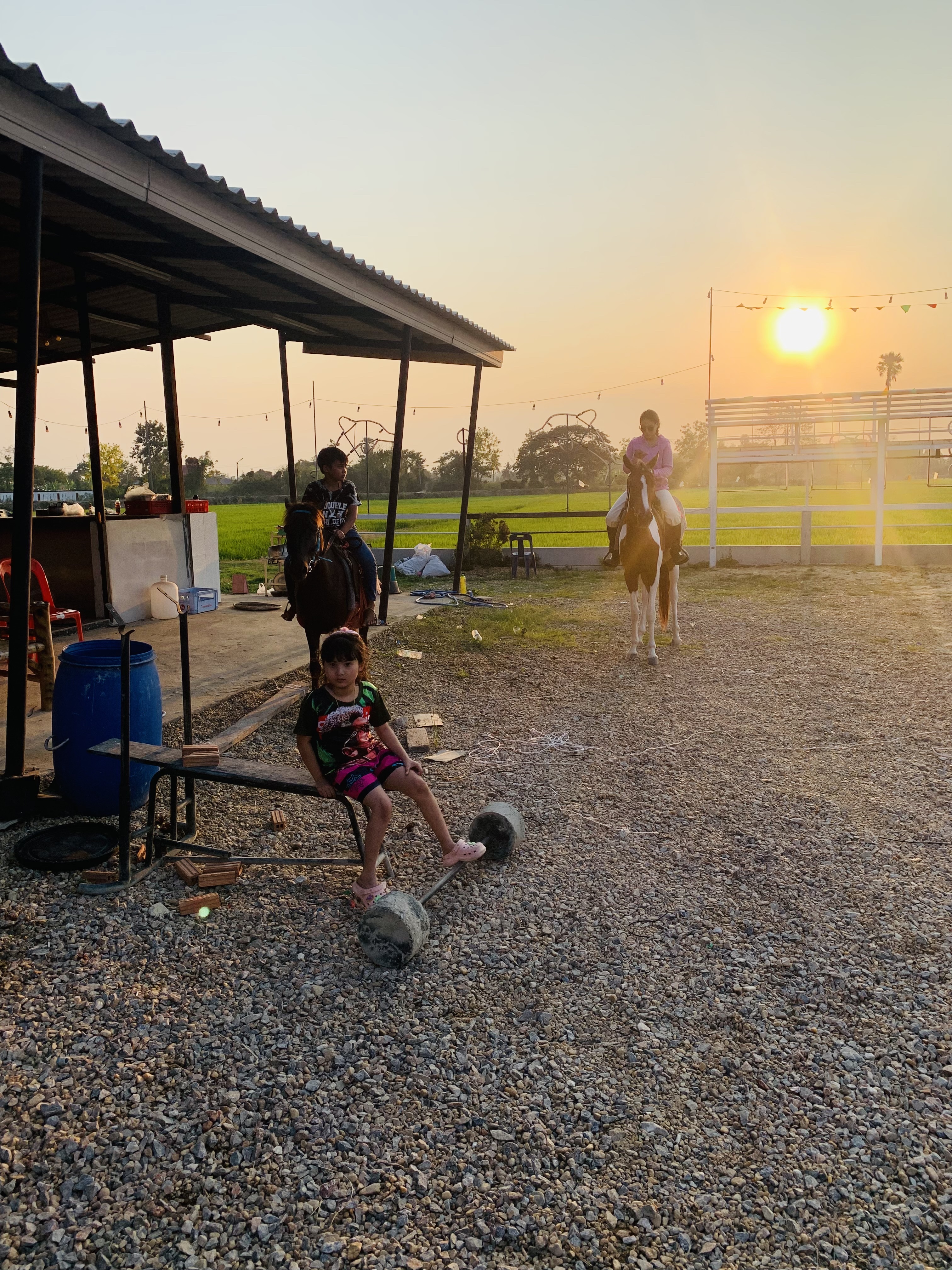 Asha Horse Riding Stable Twilight Show