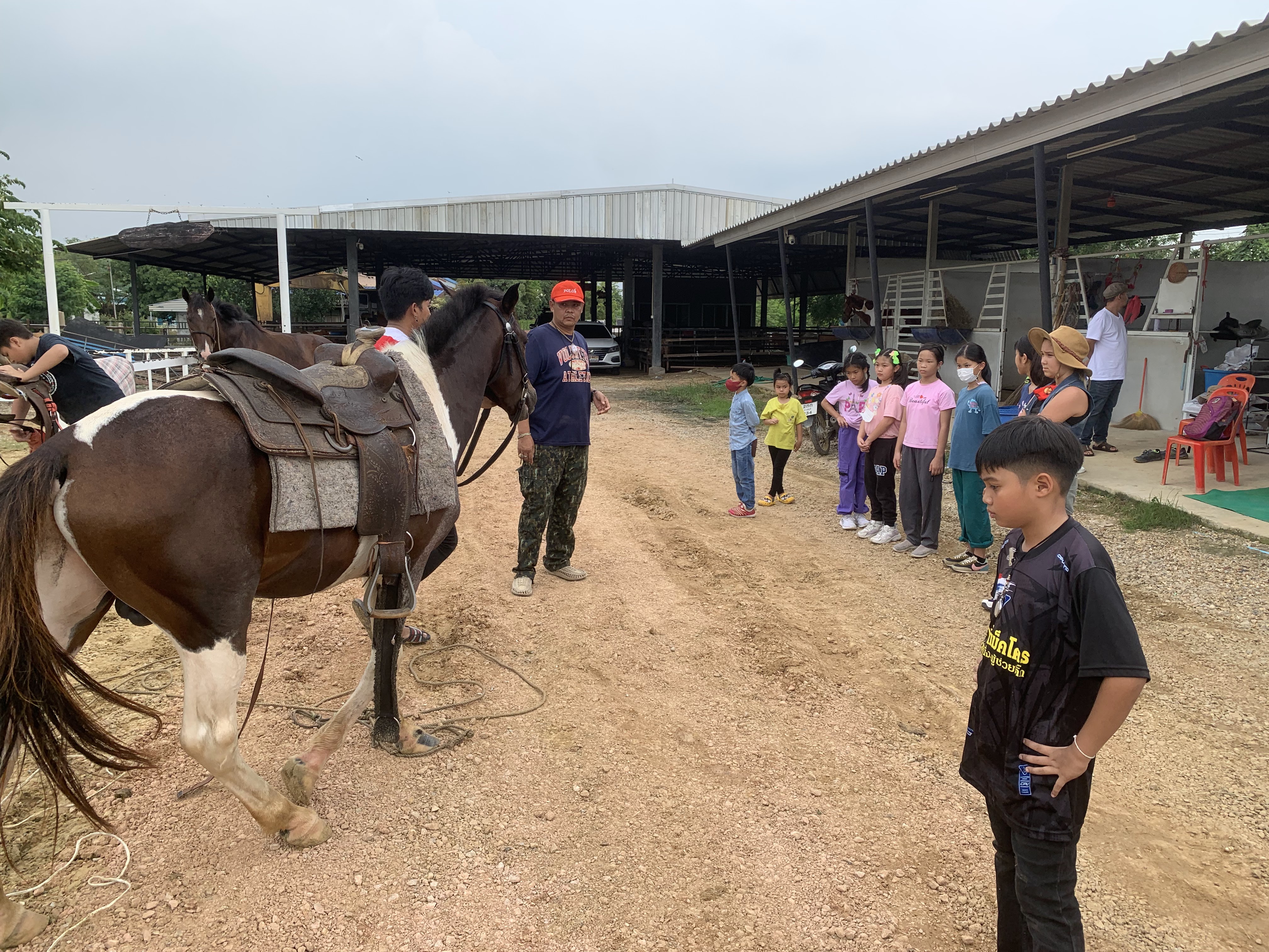 Asha Horse Riding Stable Twilight Show