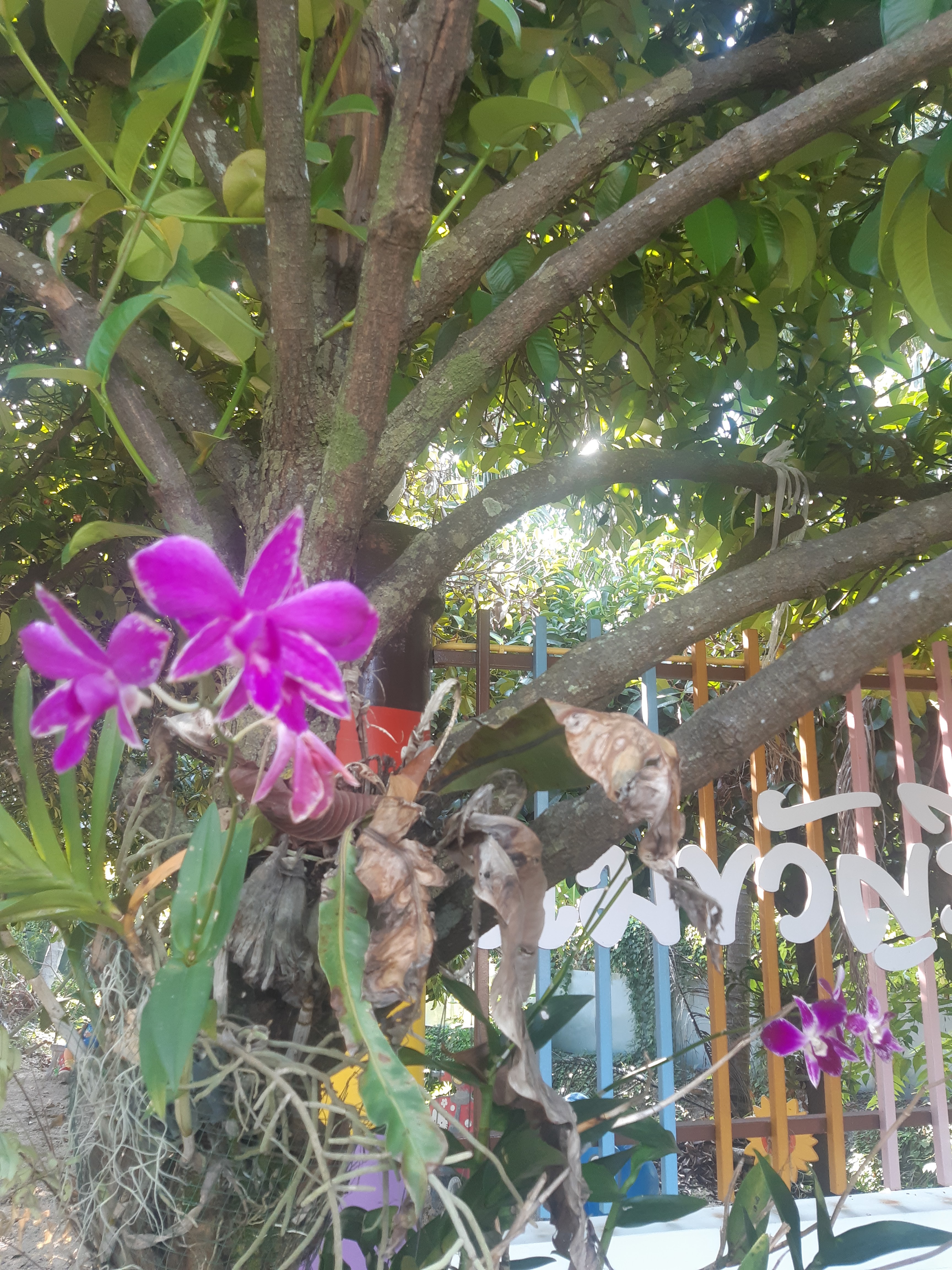 Mae Kwan Resort Rayong
