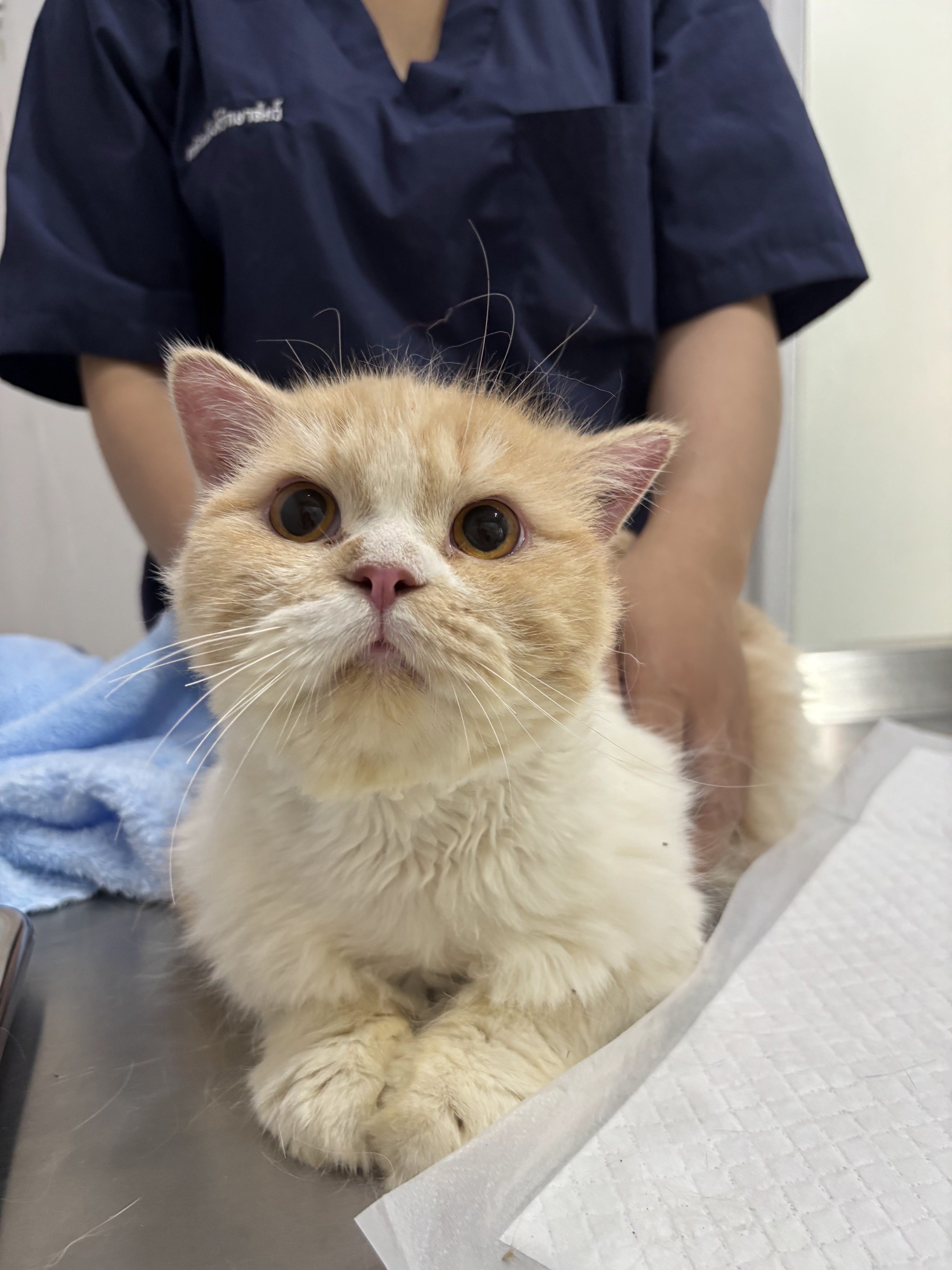 The clinic has an animal treatment tank