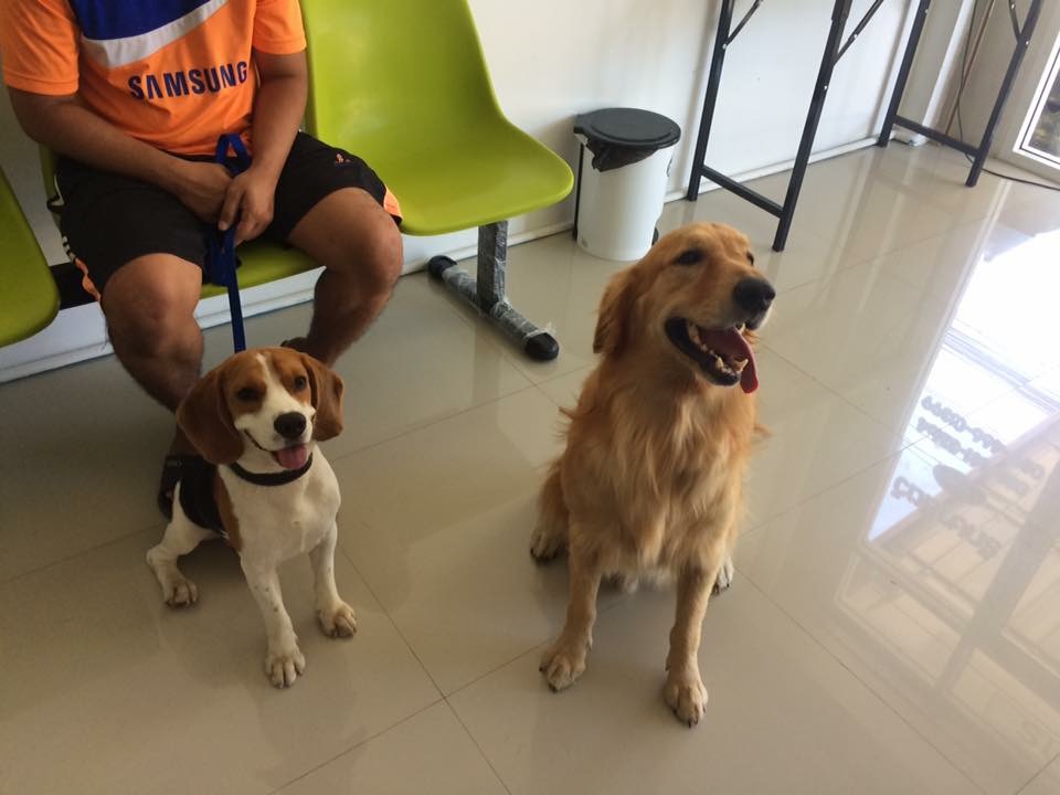 BN Pet Care Vet Clinic