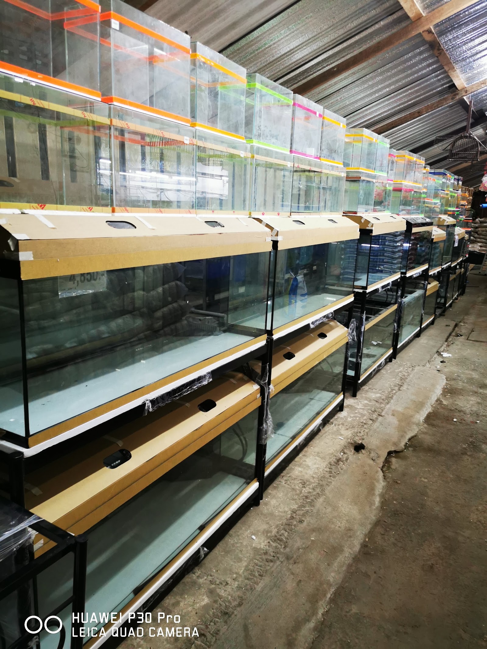 Cool Aquarium & Pet Shop