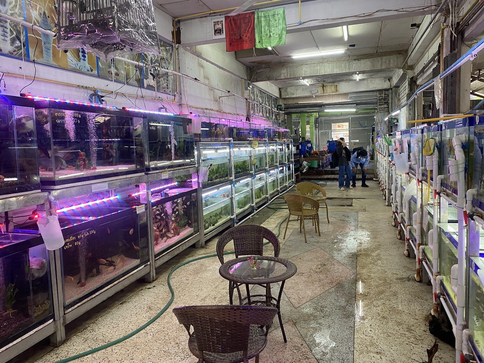 Cool Aquarium & Pet Shop
