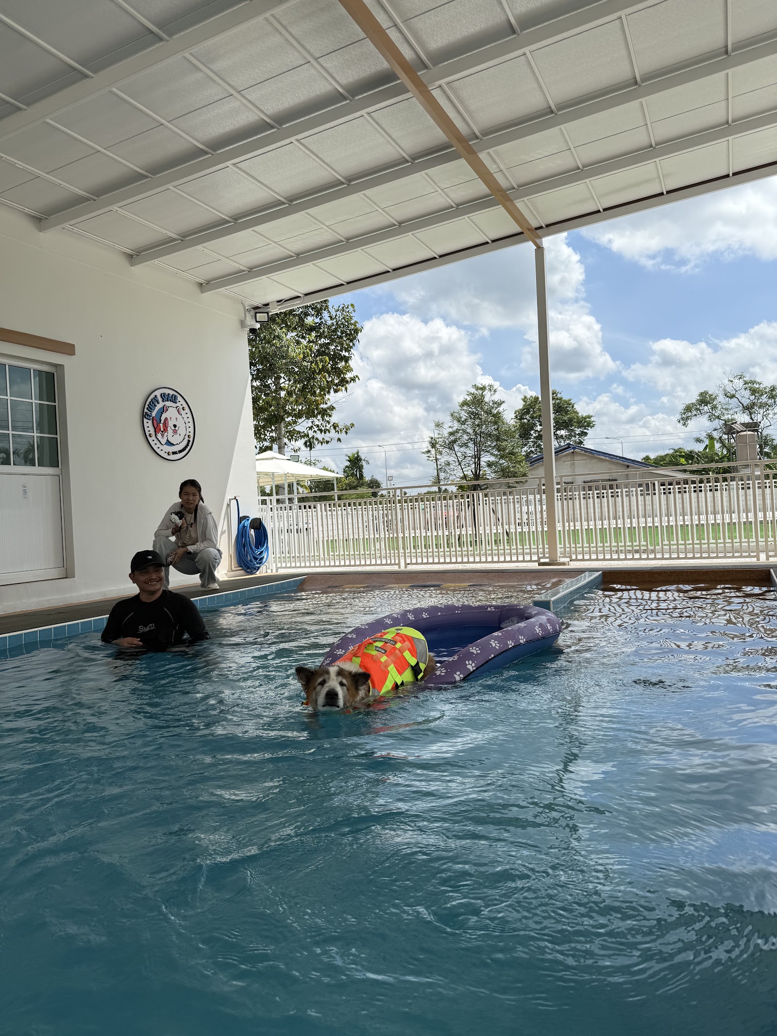 Fluffy Space - Dog pool and playground