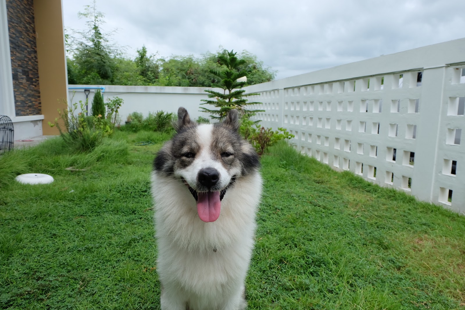Pet First Vet Clinic Rayong