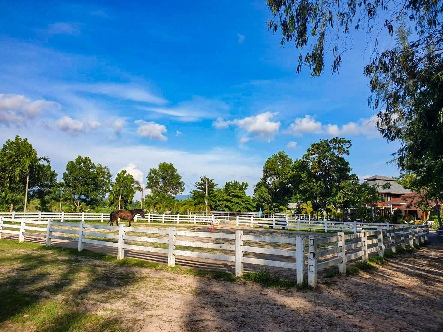 Pusin farm horse riding - Rayong