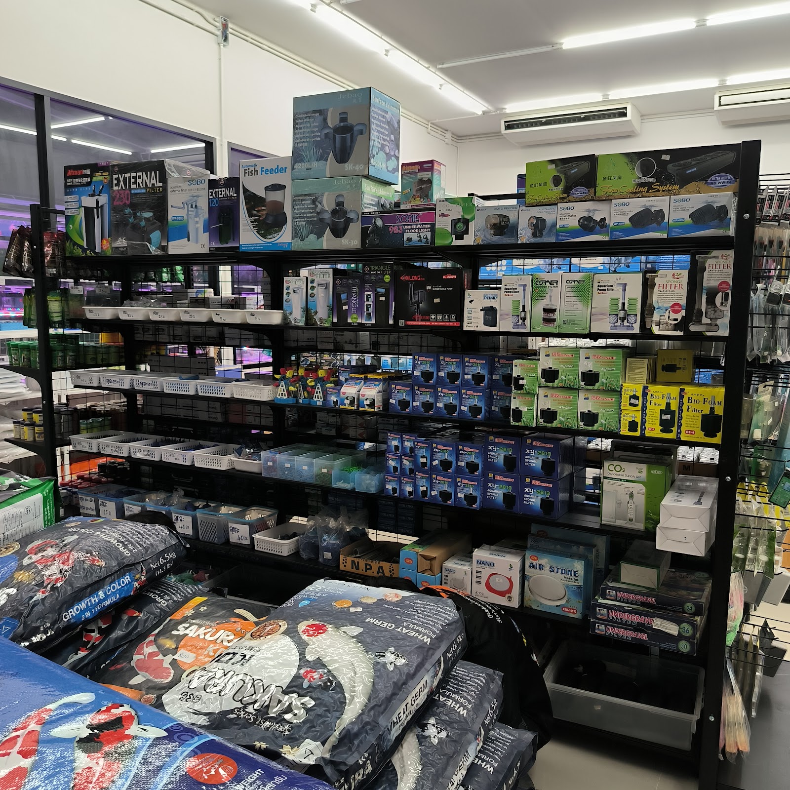 Rayong Pet Mart Fish Tank