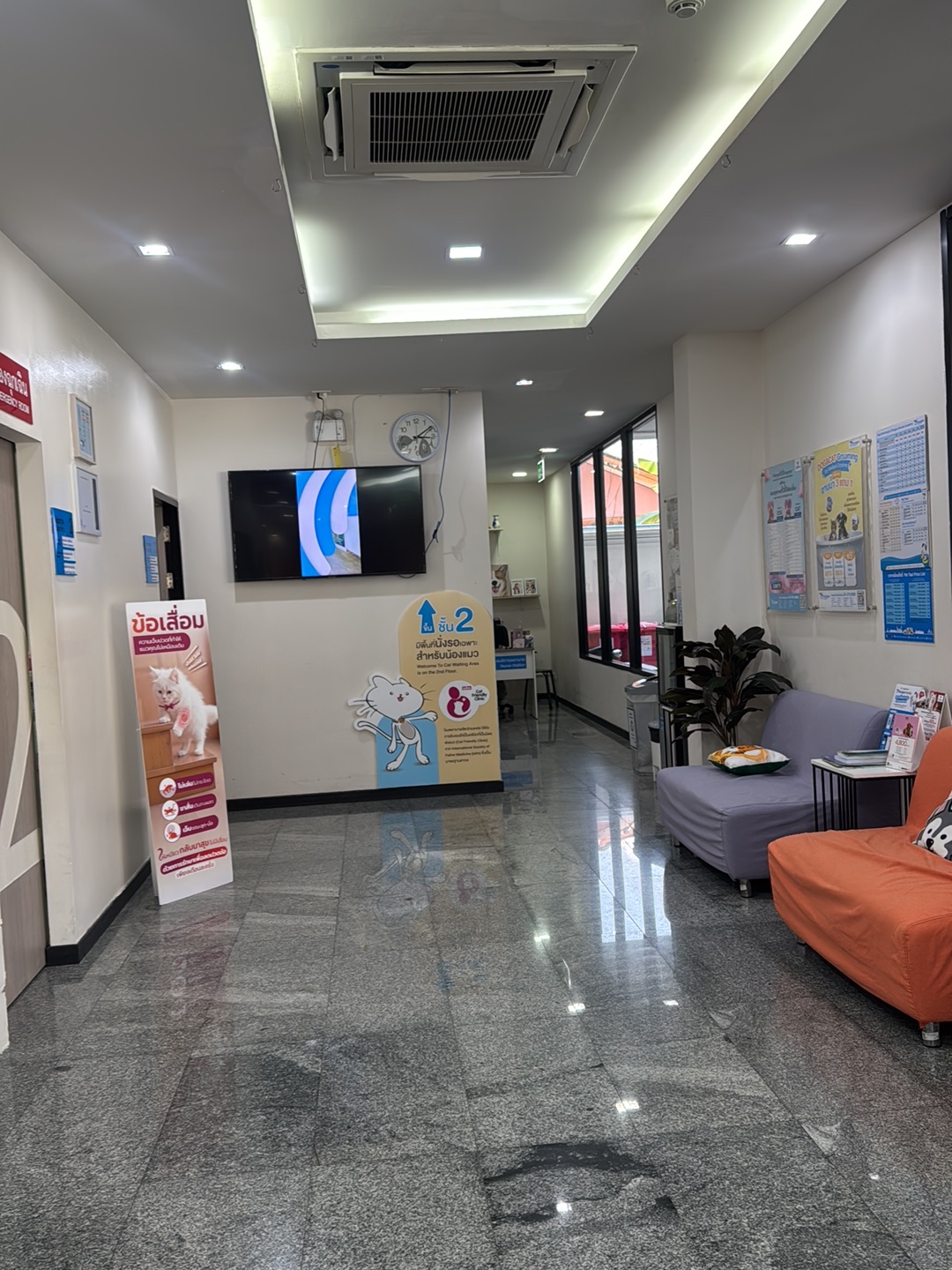 Thonglor Pet Hospital Rayong