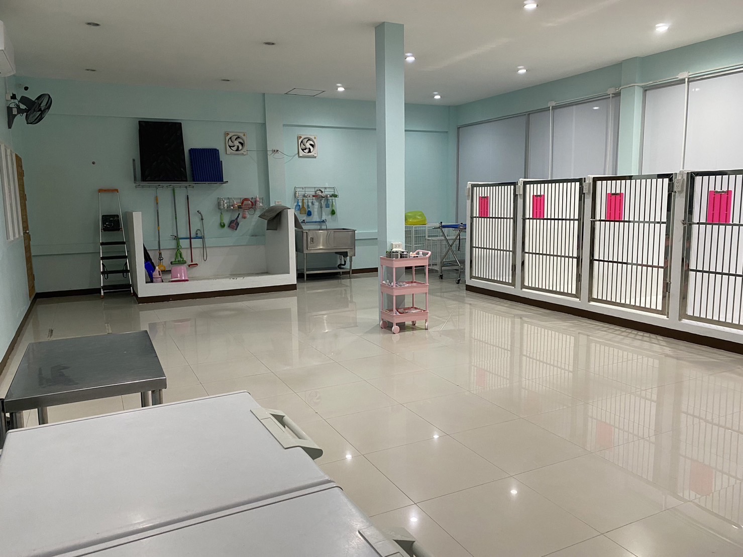 TTP Animal Hospital