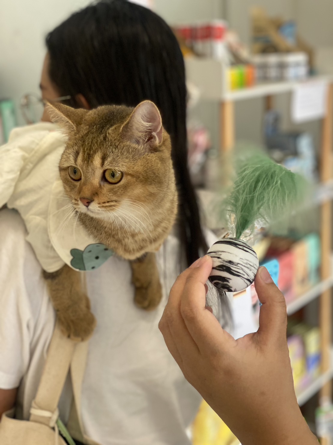 Clinic of Doctors Eu Treats Animals