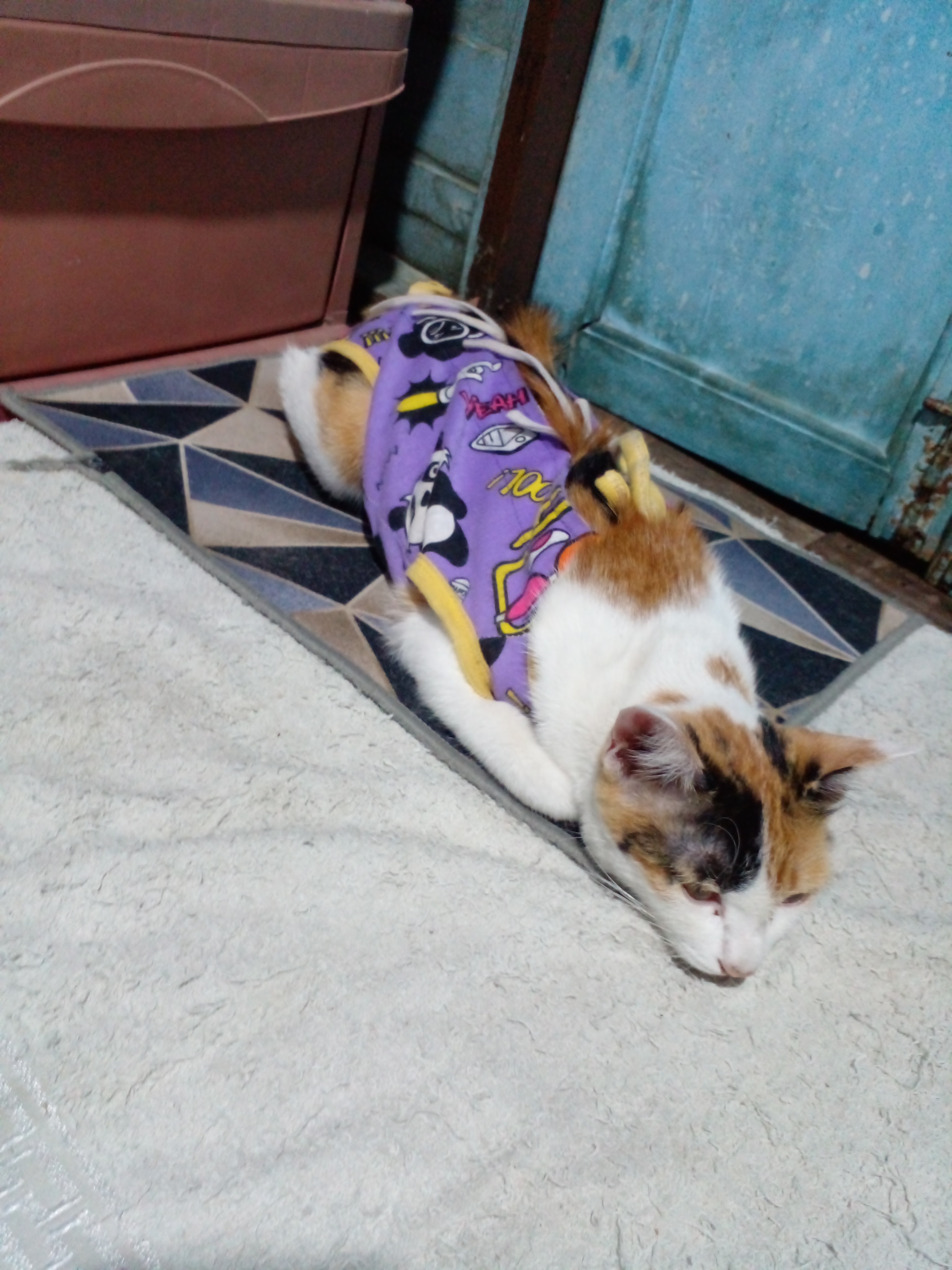 Pet Home Clinic