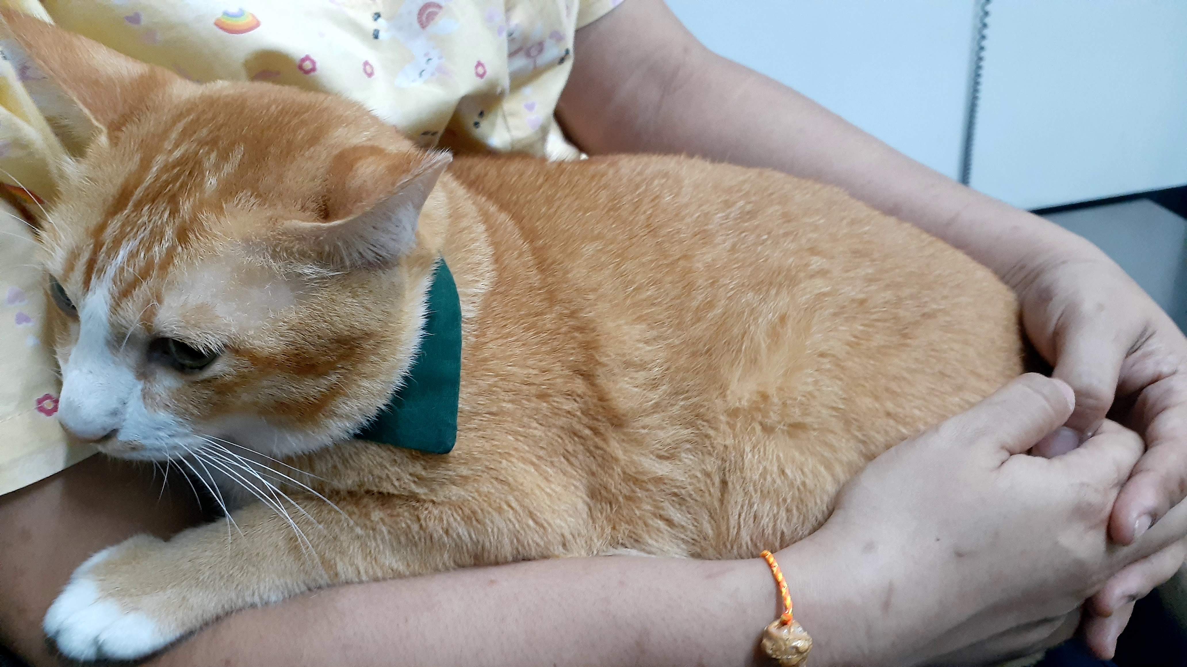 Bangpu Veterinary Clinic