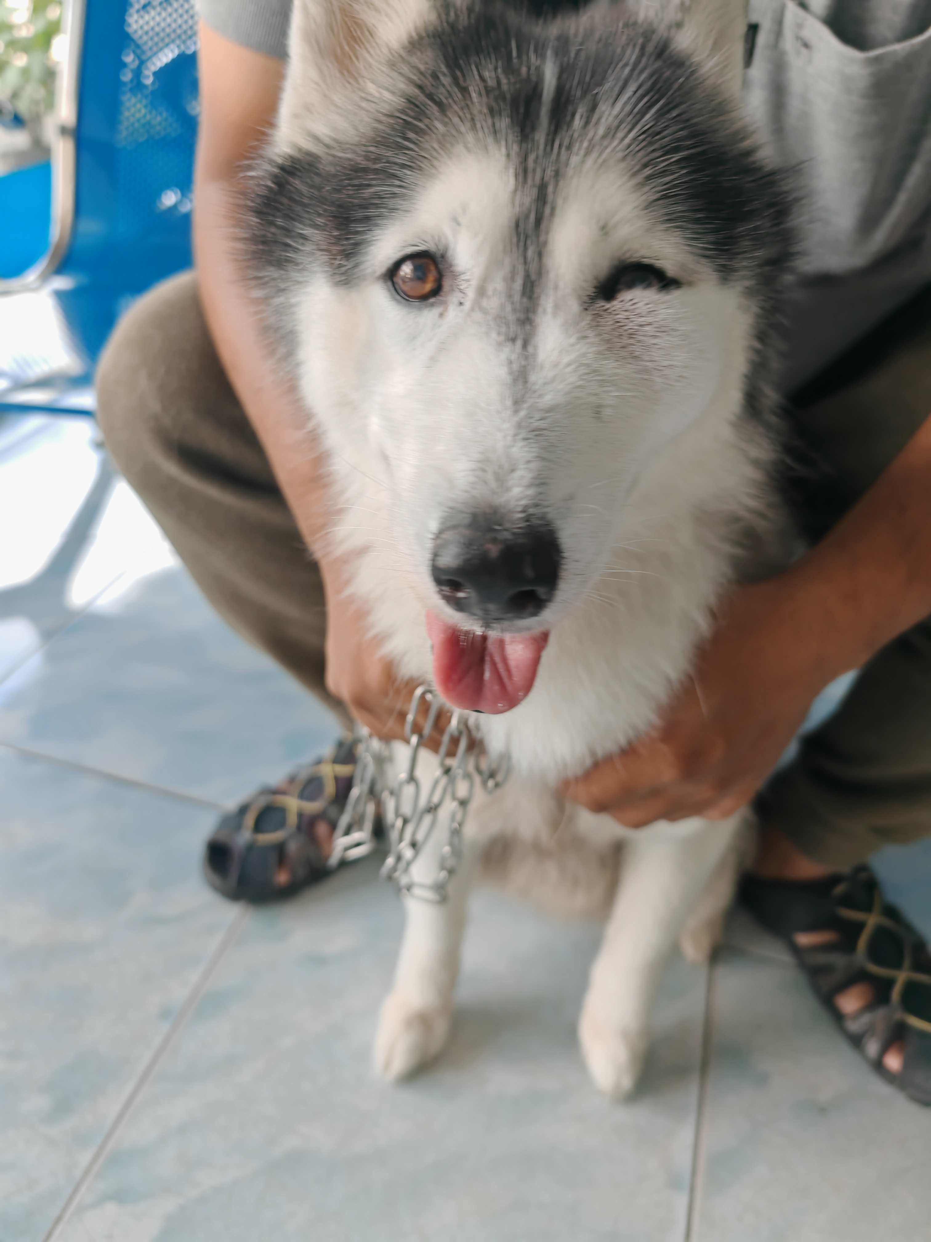 Nakharak Animal Hospital