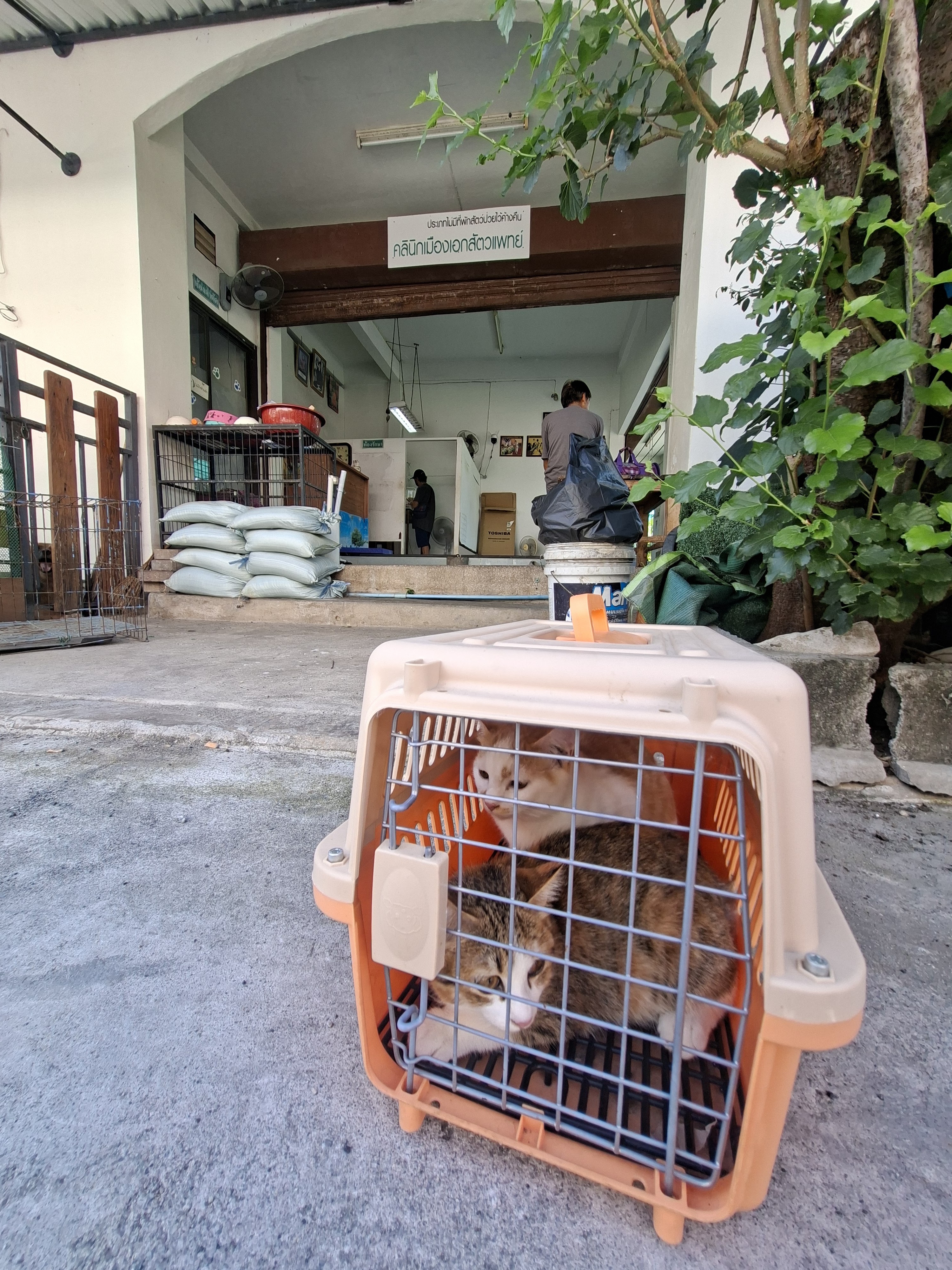 Muang Ek Veterinary Clinic (Bang Poo)
