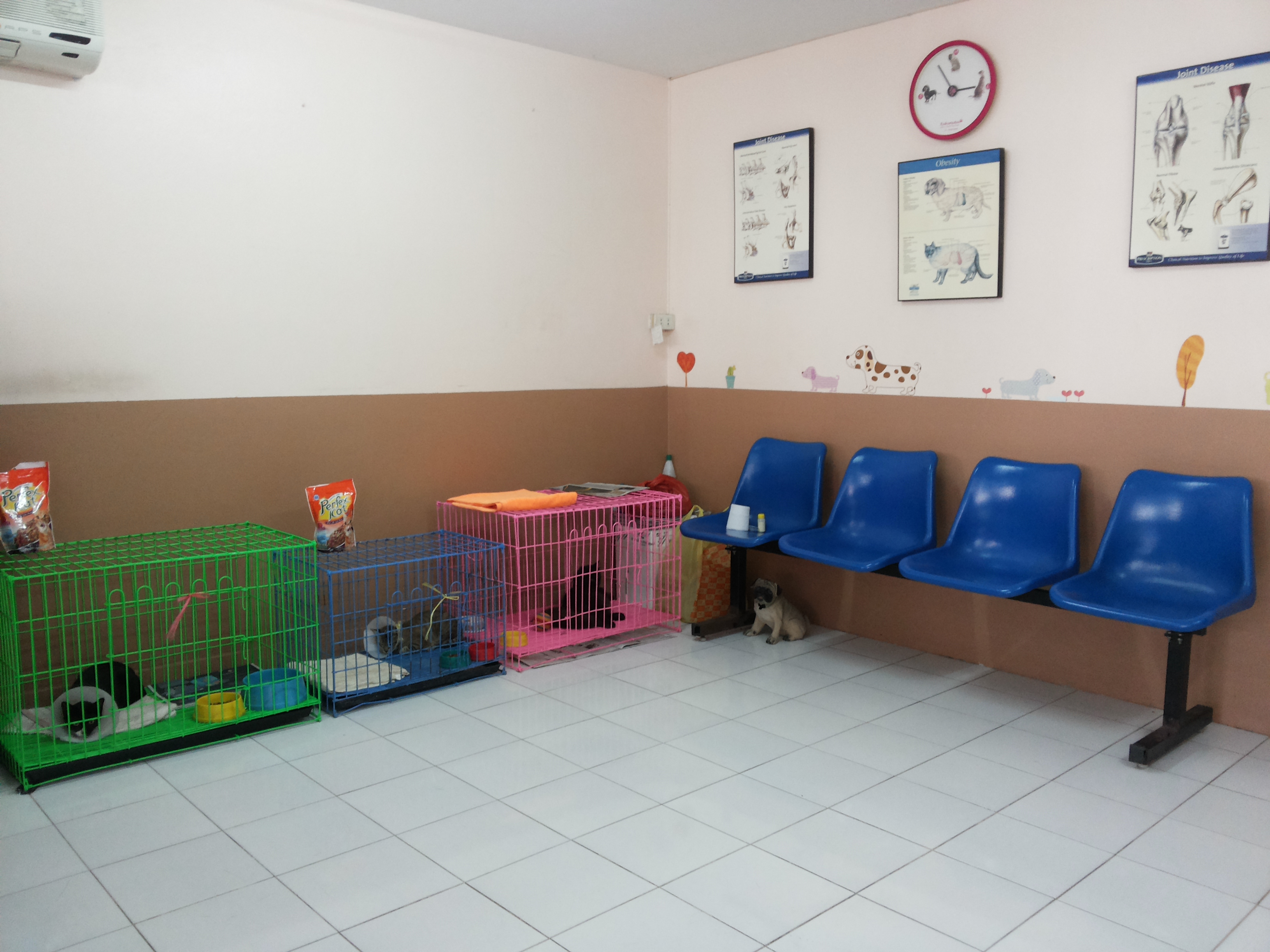 Dan Samrong Veterinary Clinic