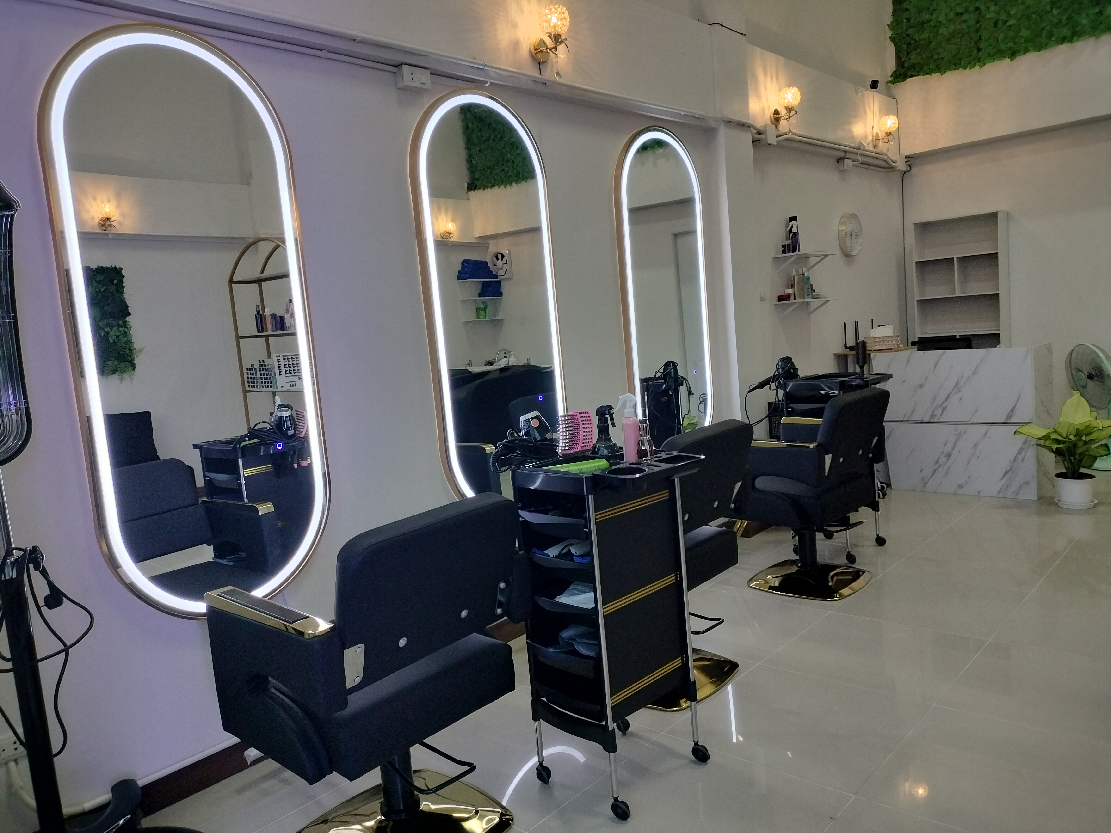 Bang Kru Animal Treatment Clinic