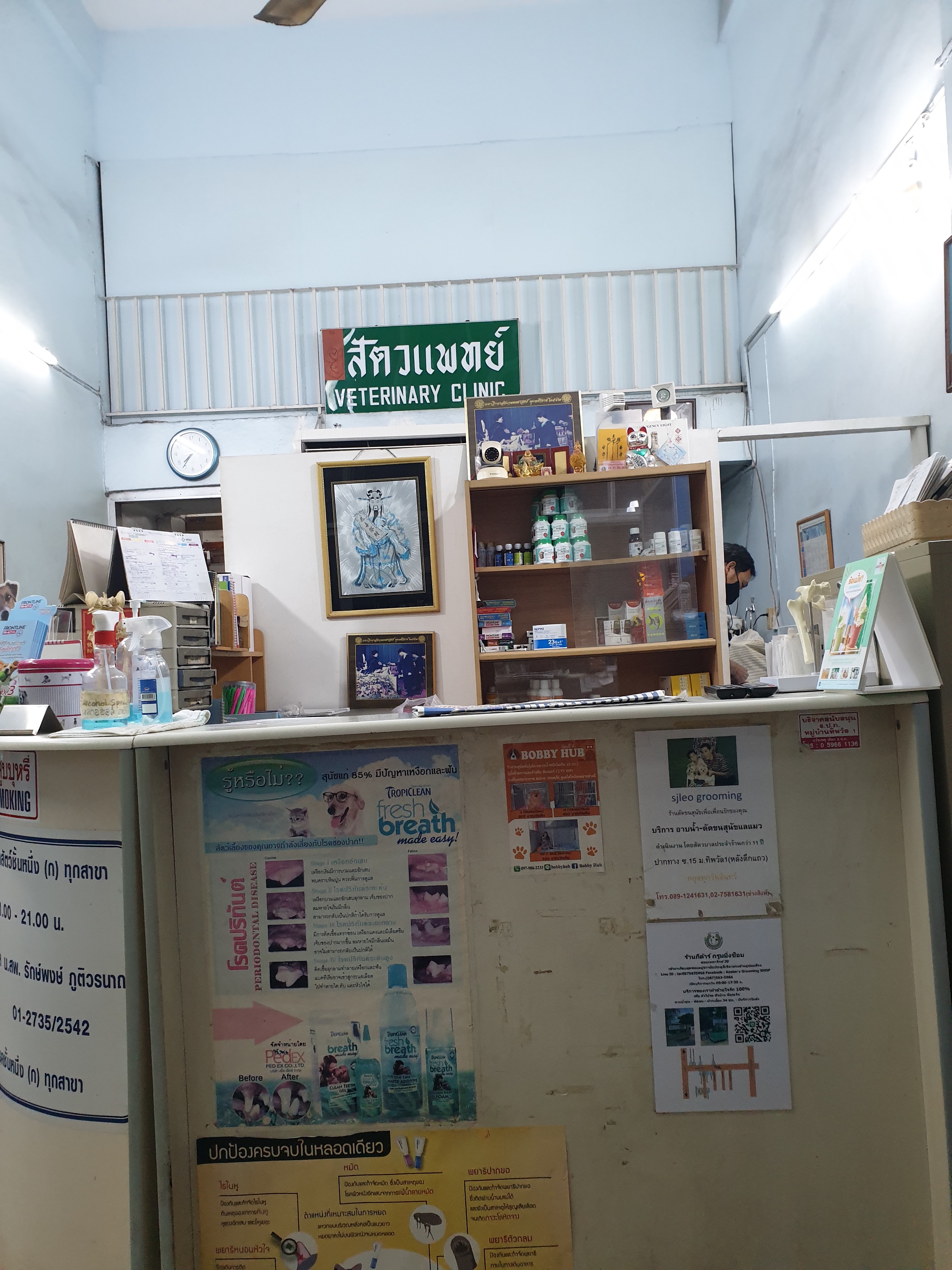 Nonsi Animal Treatment
