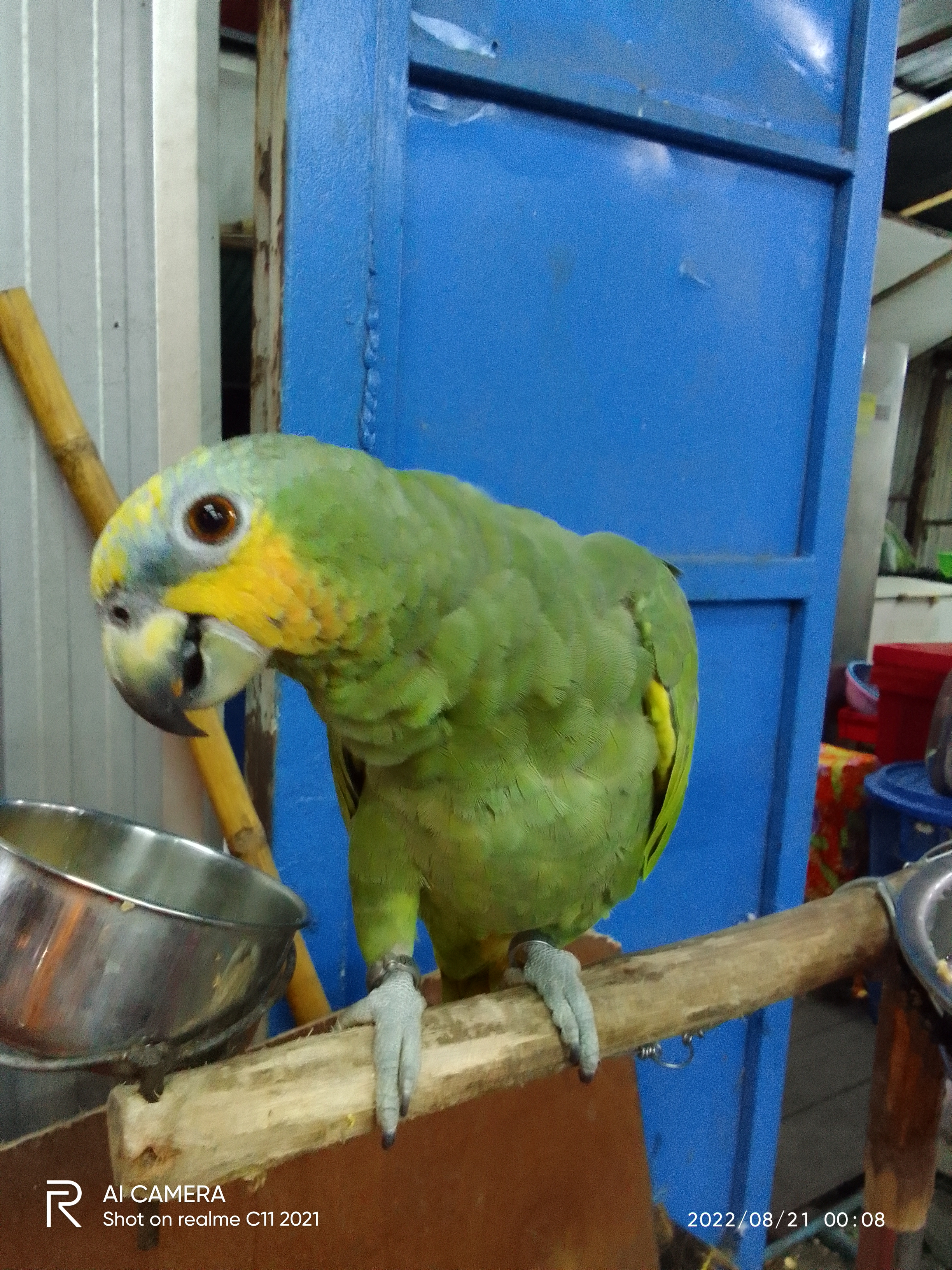 Samut Prakan Veterinary