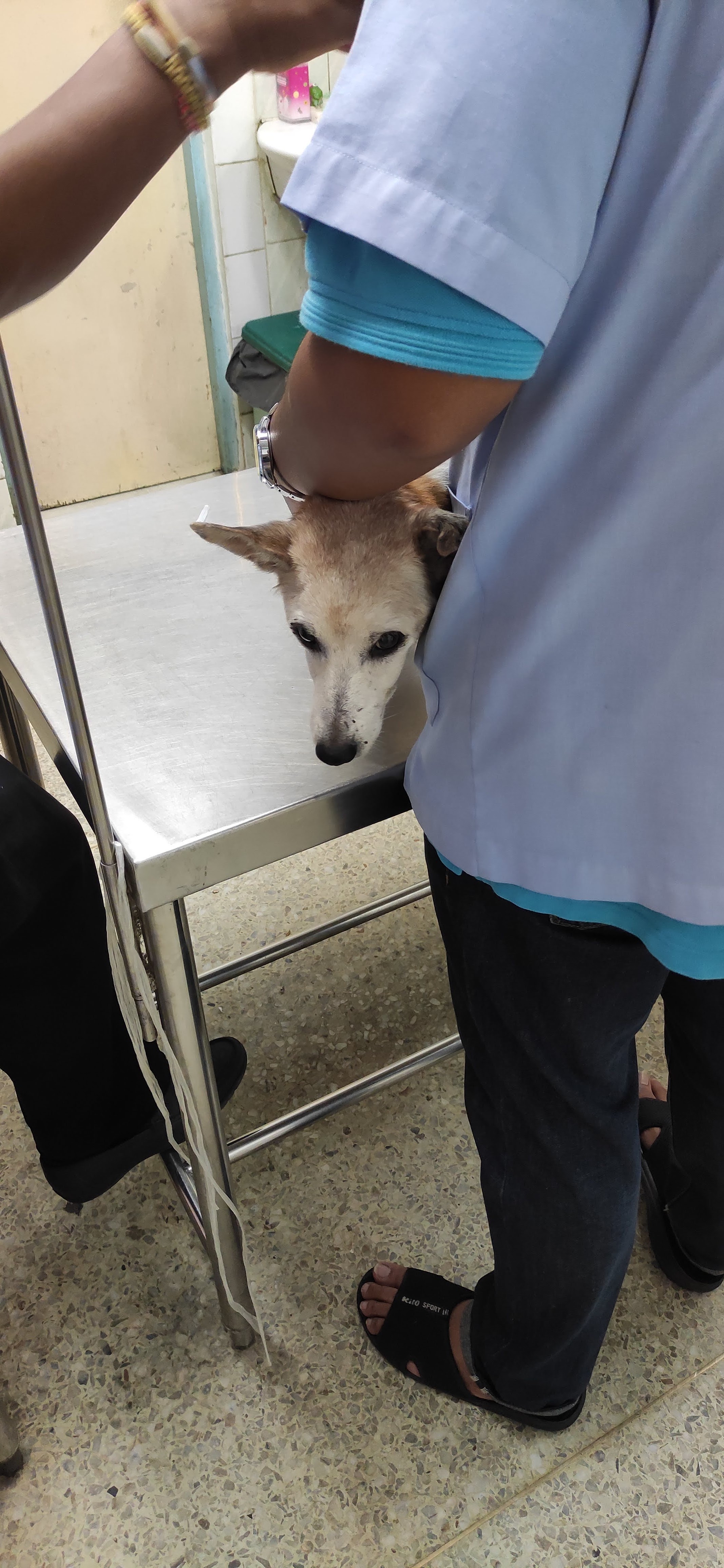 Santikam Veterinarian